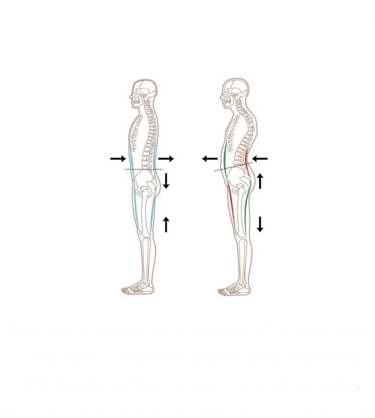 Posture LB.jpg
