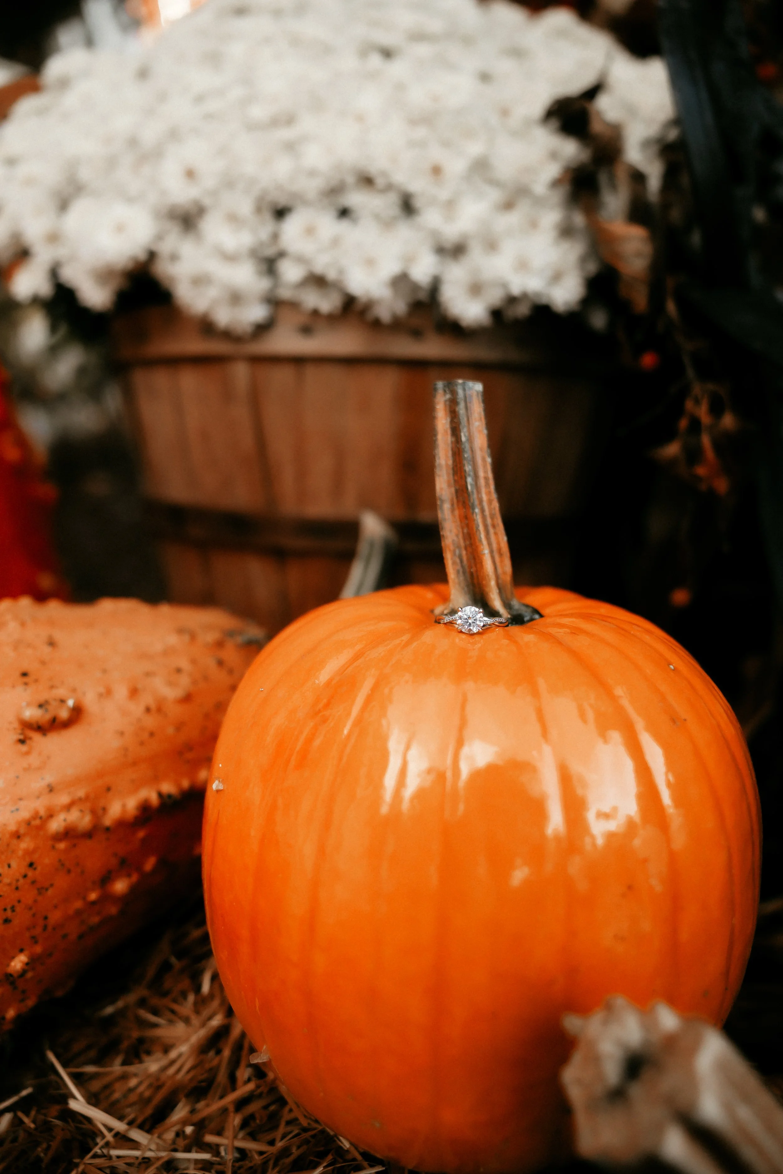 A small orange pumpkin with a diamond ring on its stem, surrounded by hay and other autumnal decor.