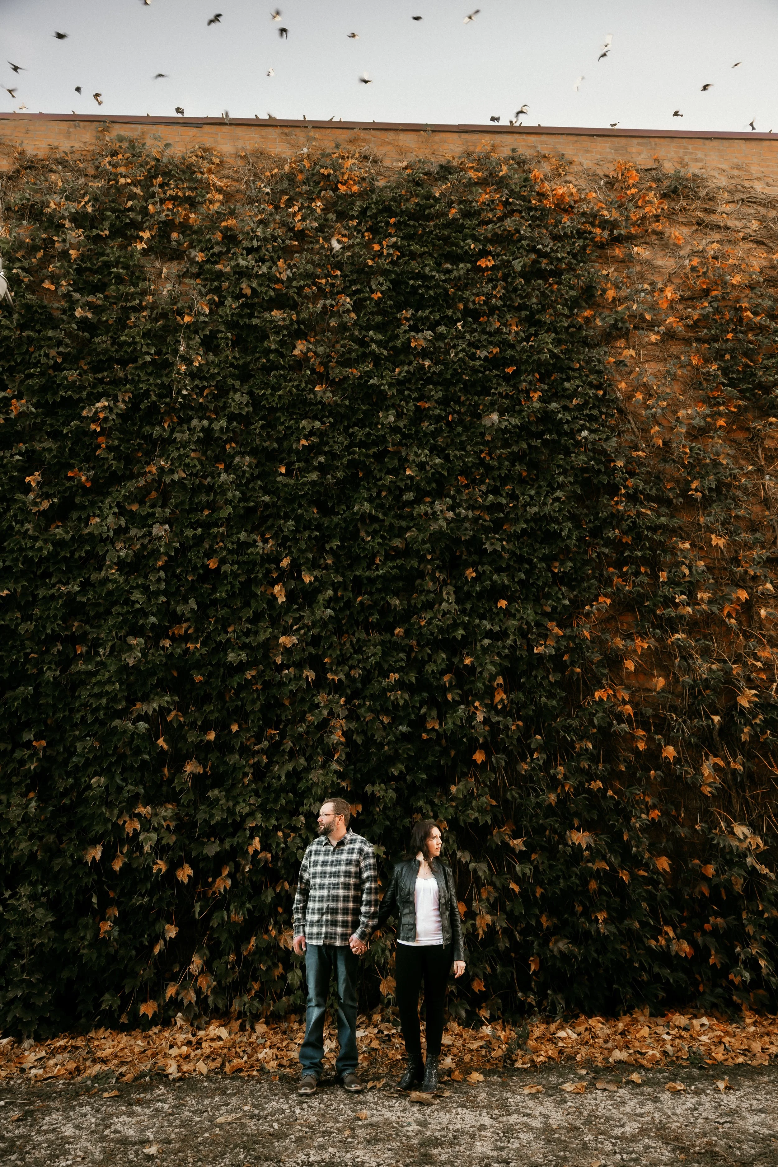 A man and woman standing hand in hand in front of a large ivy-covered brick wall with fallen autumn leaves on the ground and birds flying in the sky above.