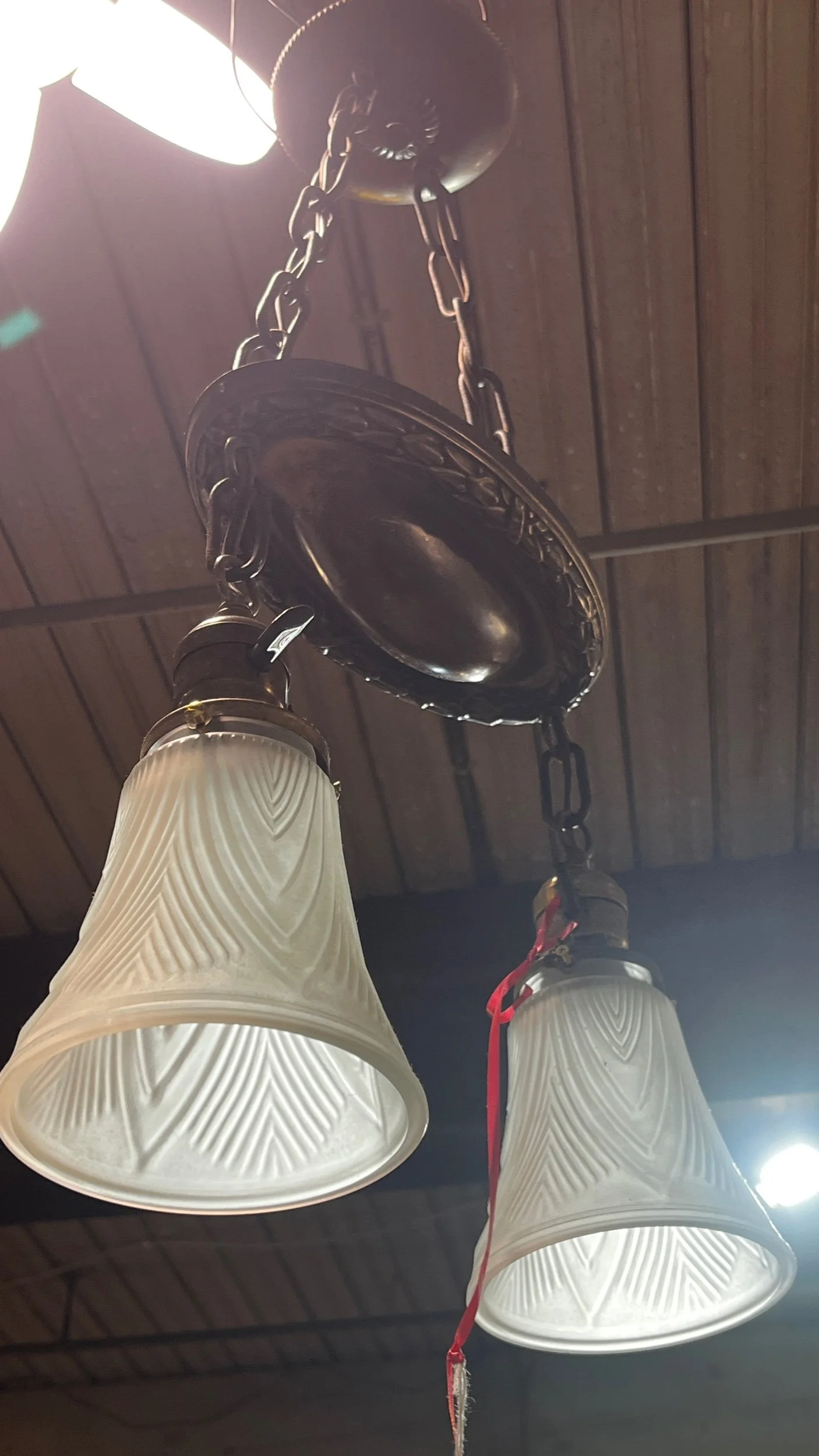 C2D05147-986B-4DE9-835A-7F22FFBEC83E.jpeg