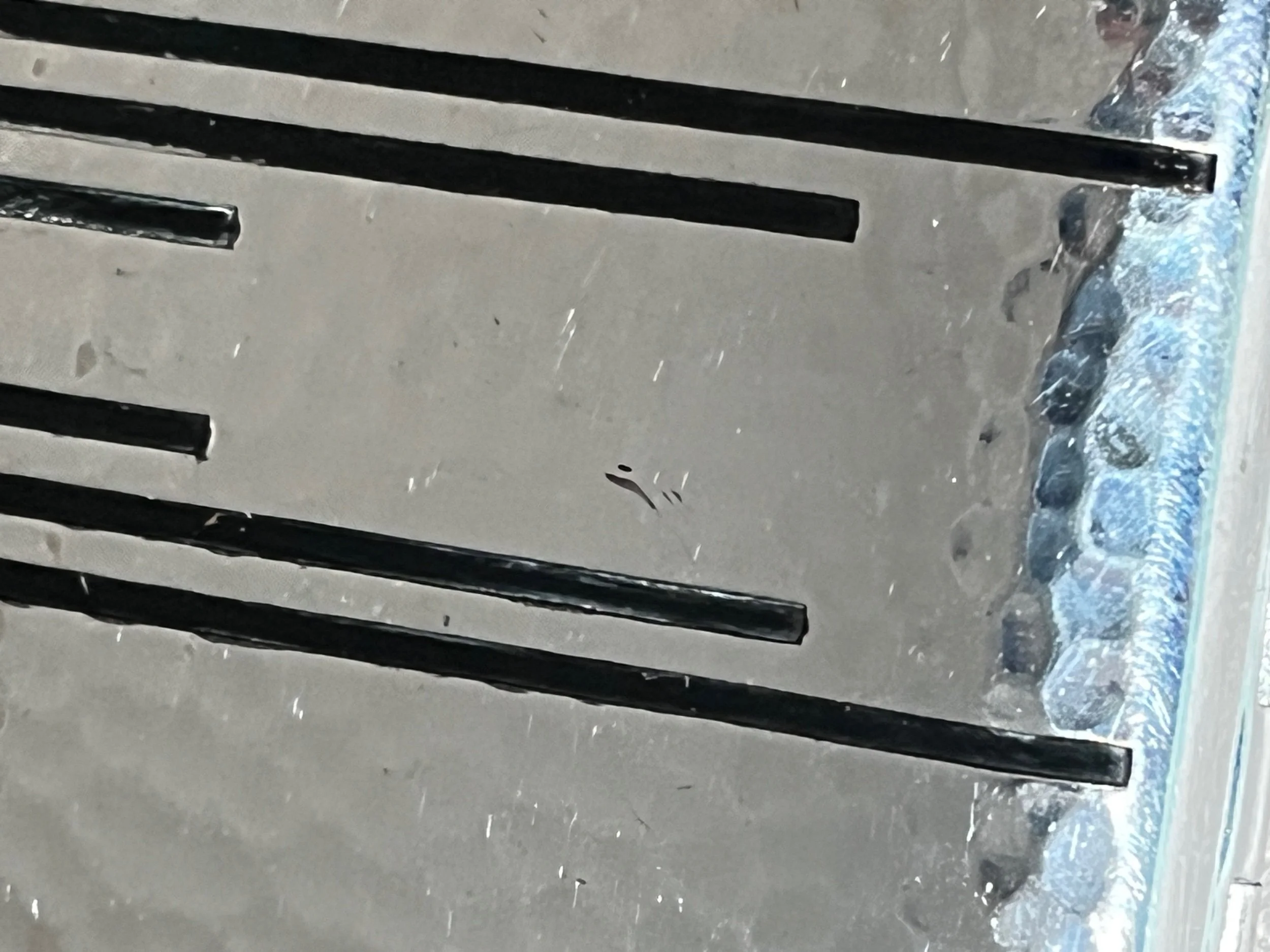 0031C453-44CB-4E35-A3AF-2B6A633308E3.jpeg