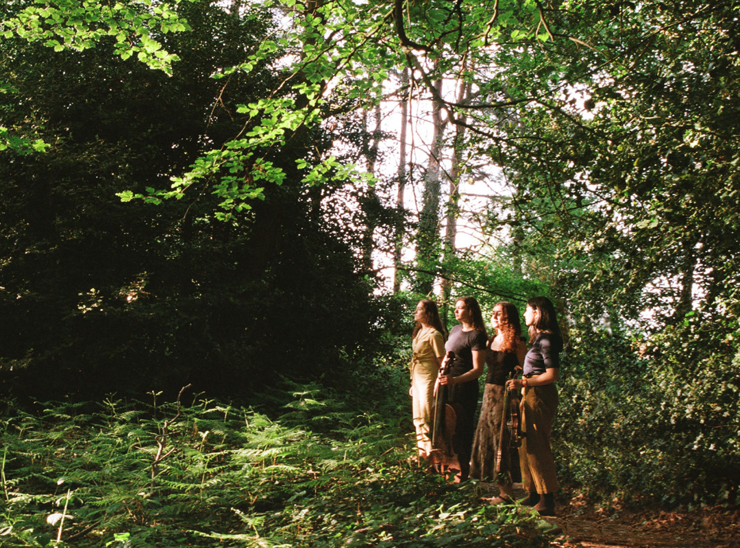 Entropies - EP Launch The Harvest