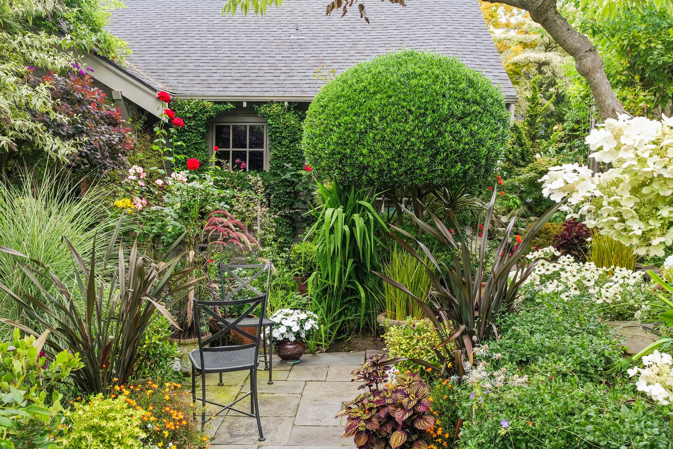 Lush garden with diverse plants and flowers, a small seating area, and a house in the background.