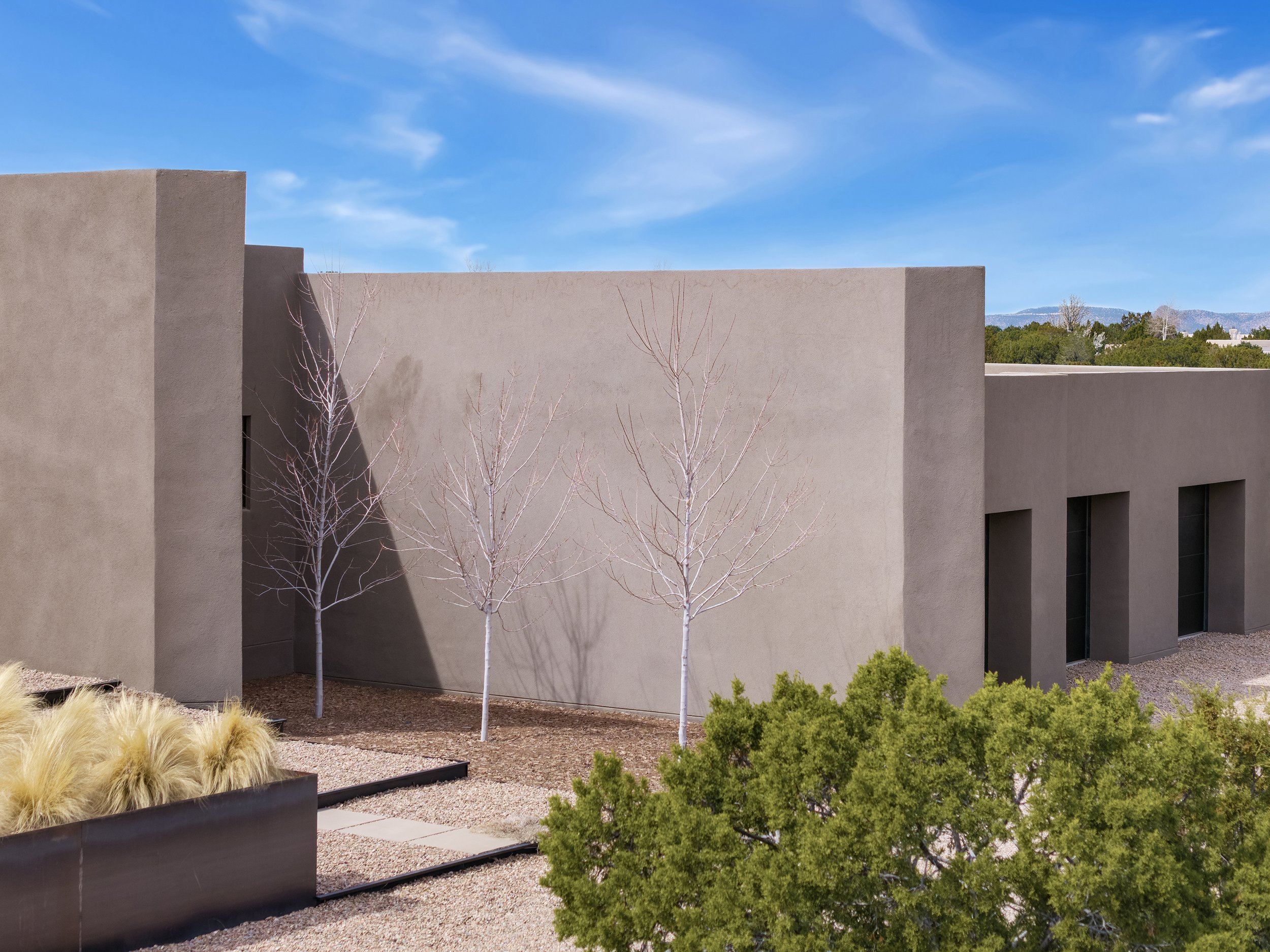 Modern minimalist desert home with smooth stucco walls, bare trees, ornamental grasses, clear sky, and a landscaped garden.