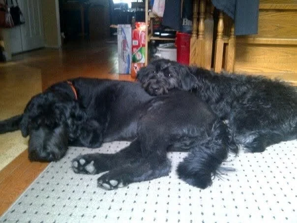 Finding support and someone to lean on is always important.  Build connection and understanding within yourself and the trusted relationships around you. #support #therealtherapistsofinstagram #therapy #happiness