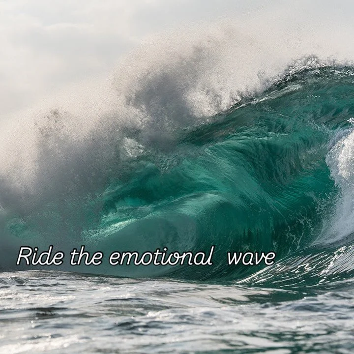 Emotions come in waves like the ocean.  You can pretend they don&rsquo;t exist and be pulled into the undertow or you can learn to ride the wave.  Feel the emotions, experience the feelings and flow into calm waters. #traumarecovery #therapy #therapi