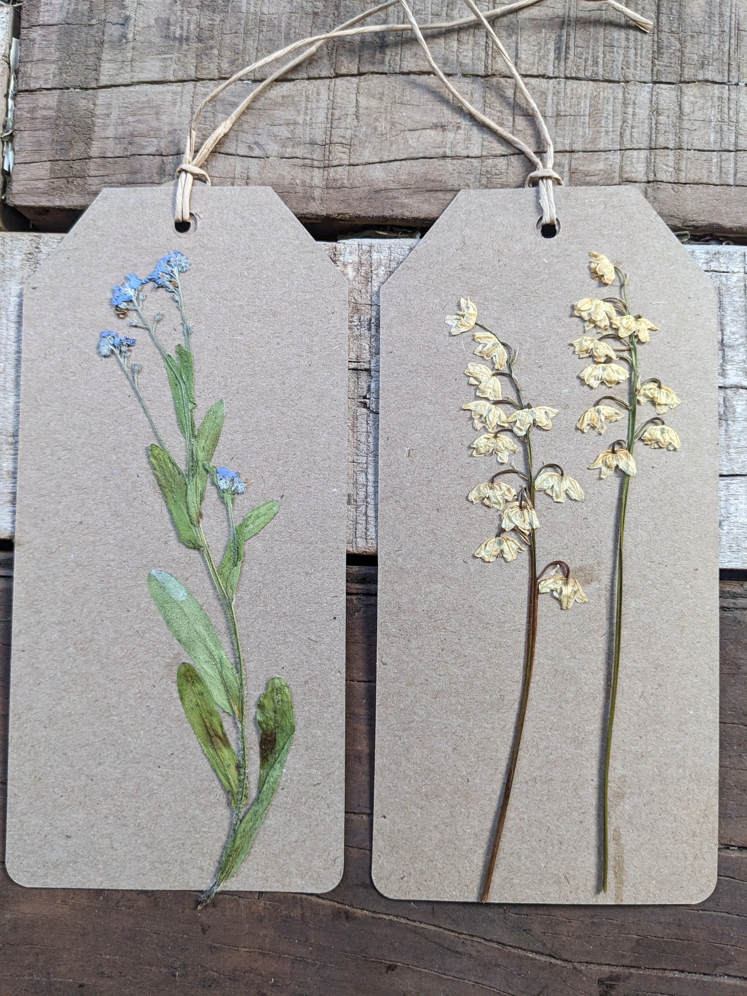 Handmade Pressed Flower Gift Tags (2) / forget me not& lilly