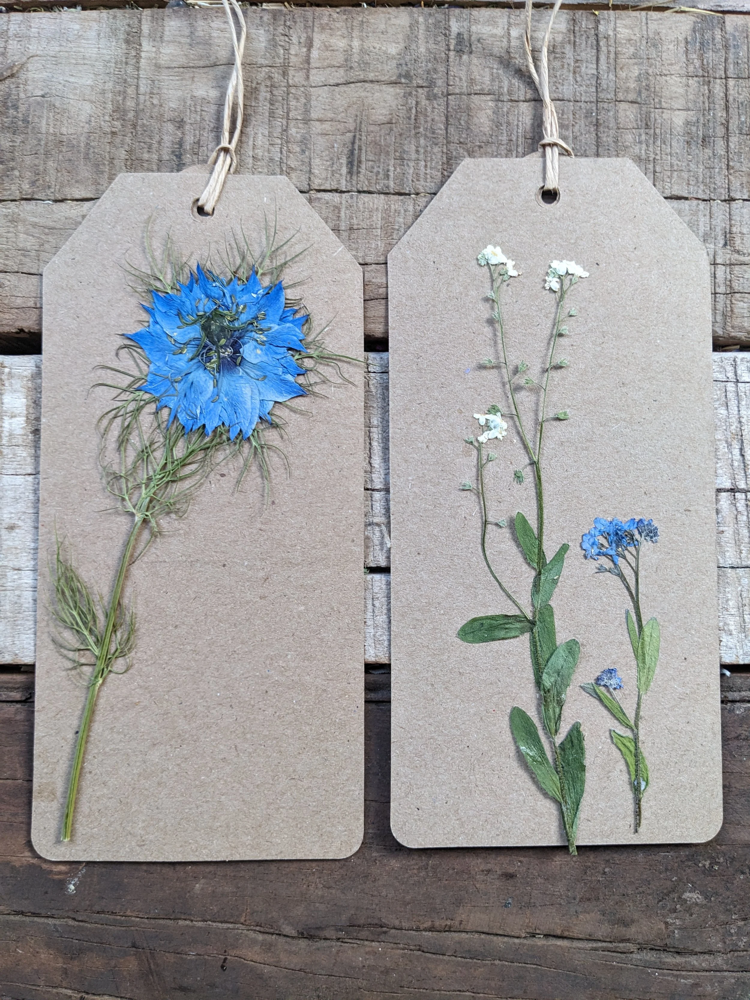 Handmade Pressed Flower Gift Tags (2) / forget me not& nigela