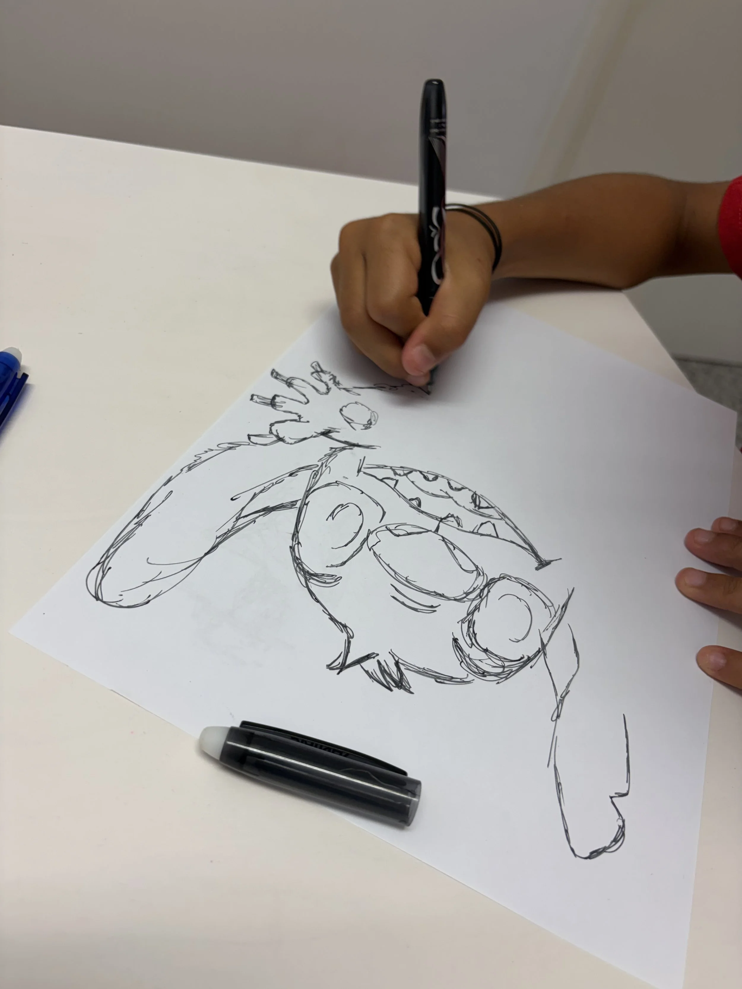 IMG_0042.jpeg