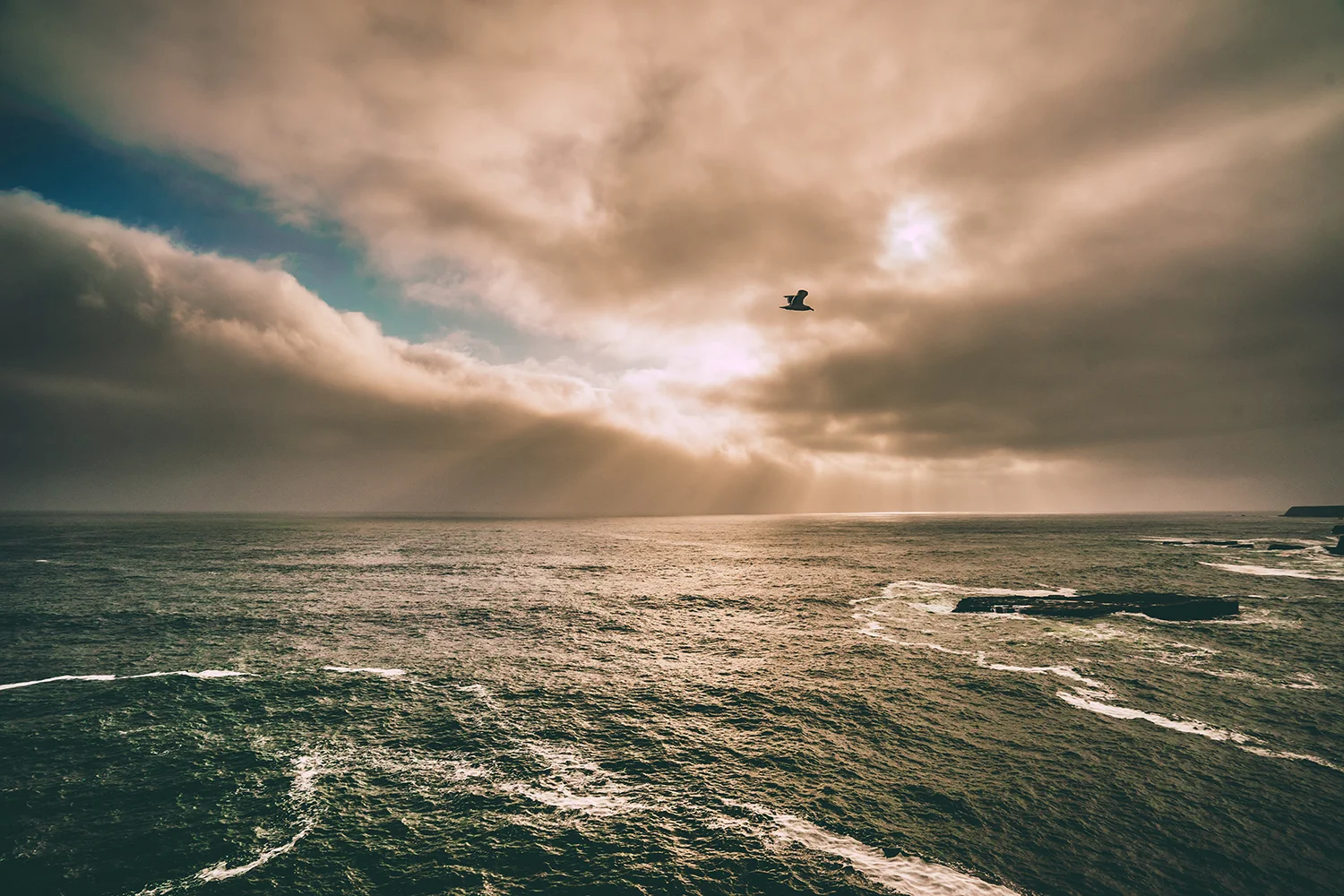 ocean.jpg