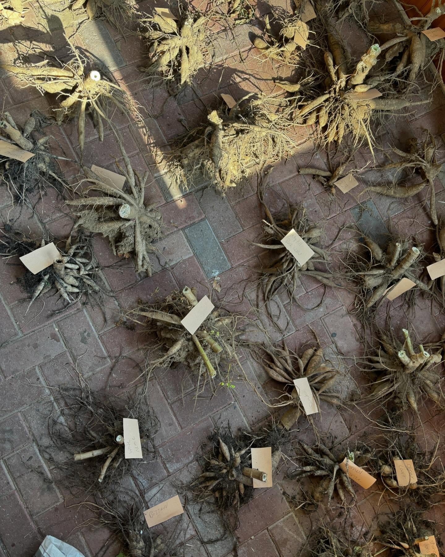 Totally tubular ✌️