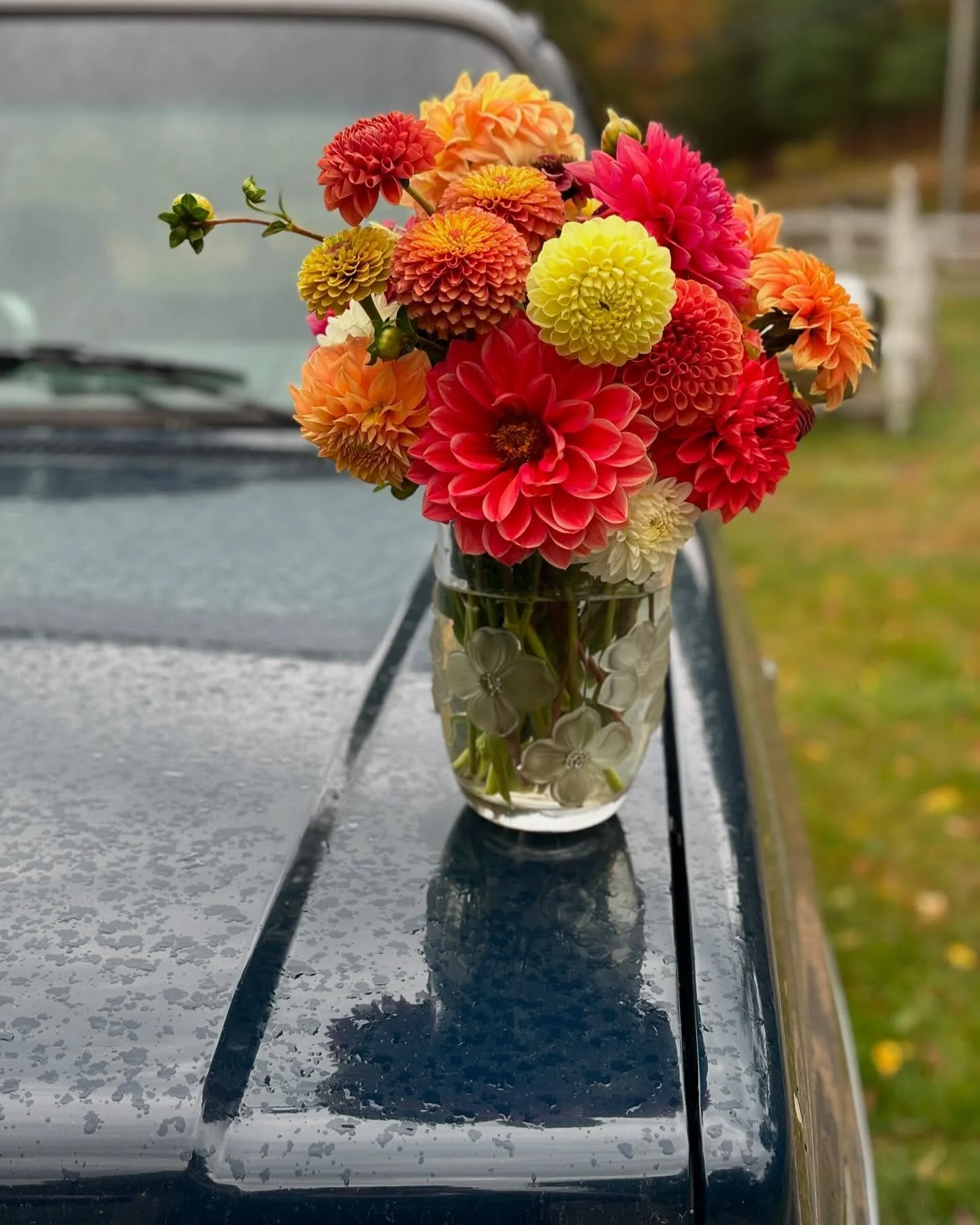 ☔️ rainbows in the rain