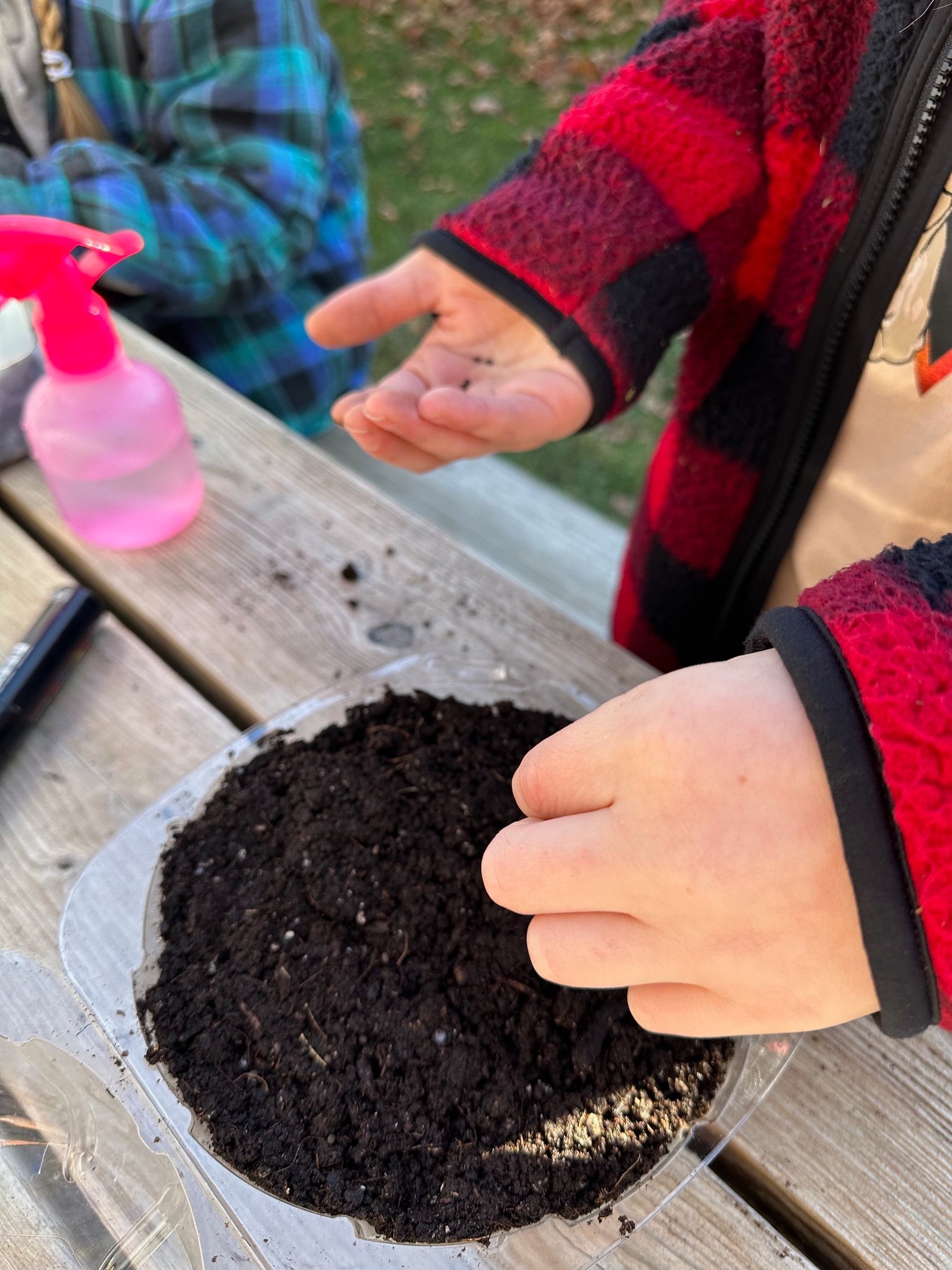 Step By Step To Winter Sowing