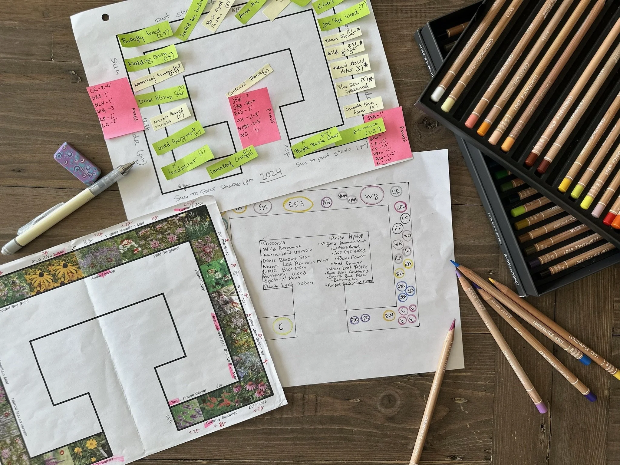 How to Plan Your Native Garden