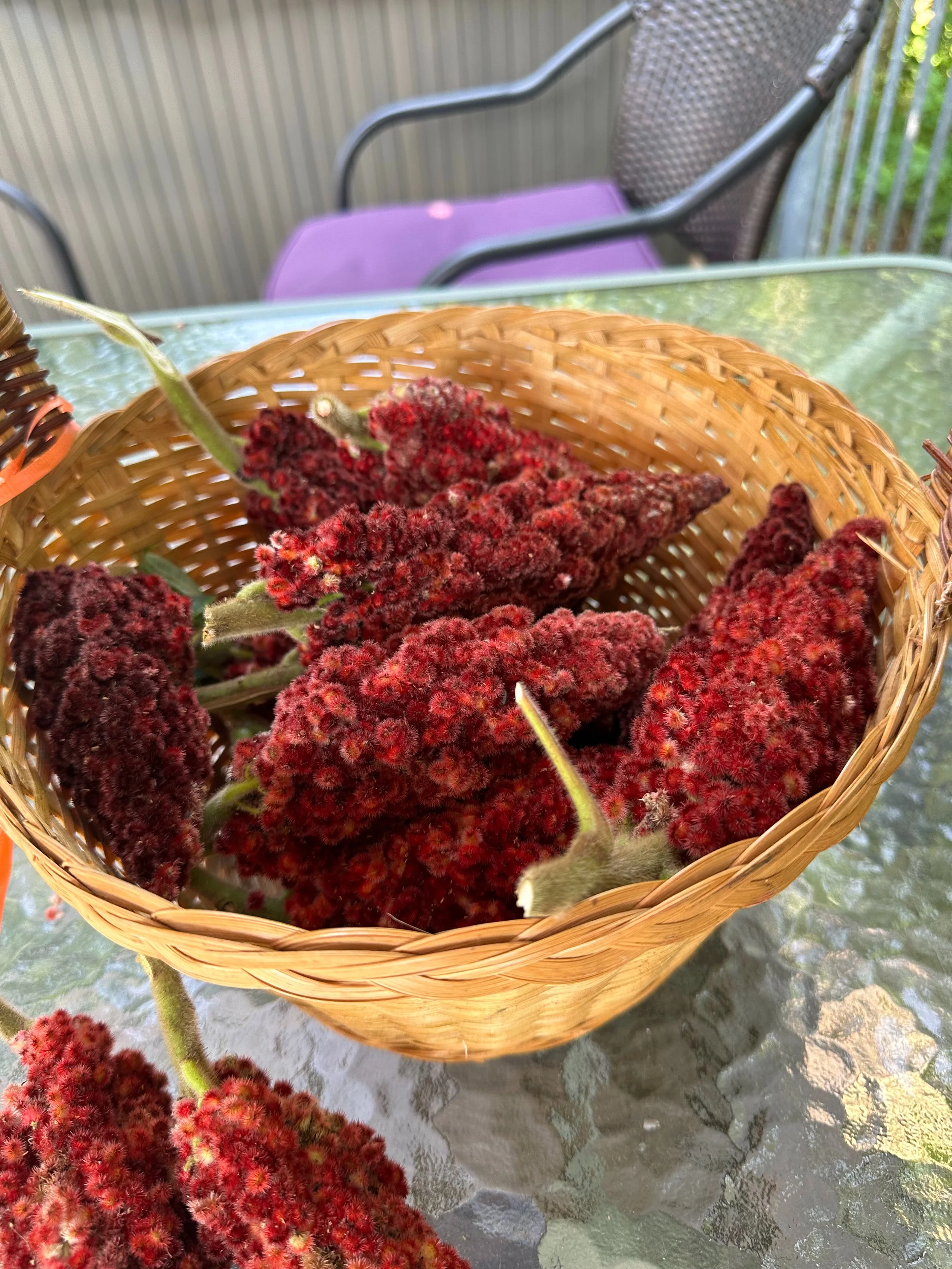 IMG_0560.jpeg