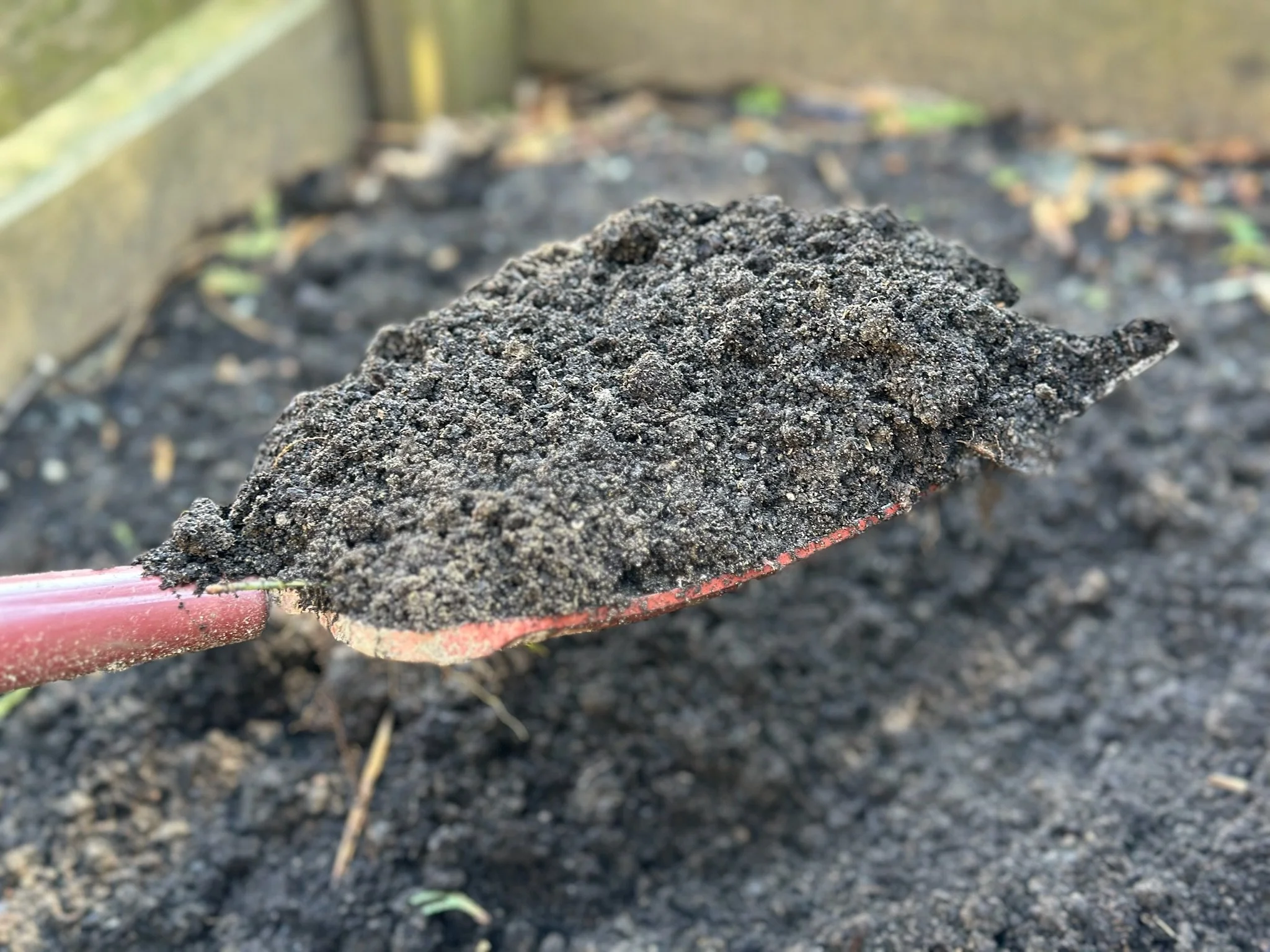 Soil Health and Plant Growth