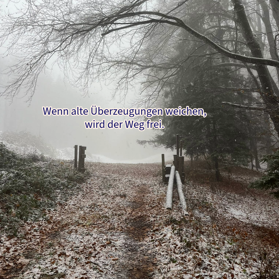 Glaubenssätze transformieren