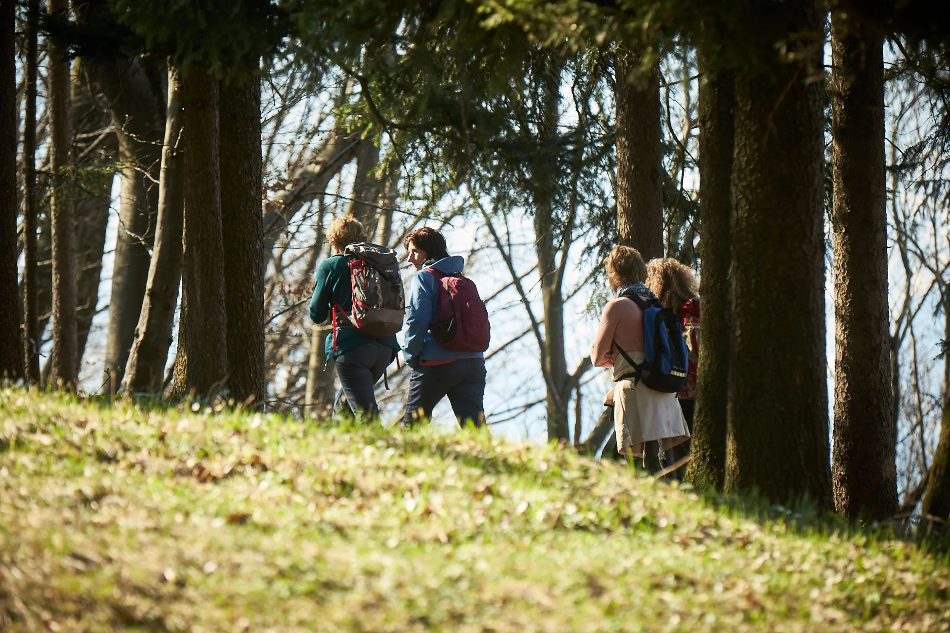 Empathie erleben – Gruppen Empathie Walk für Austausch & Verbindung