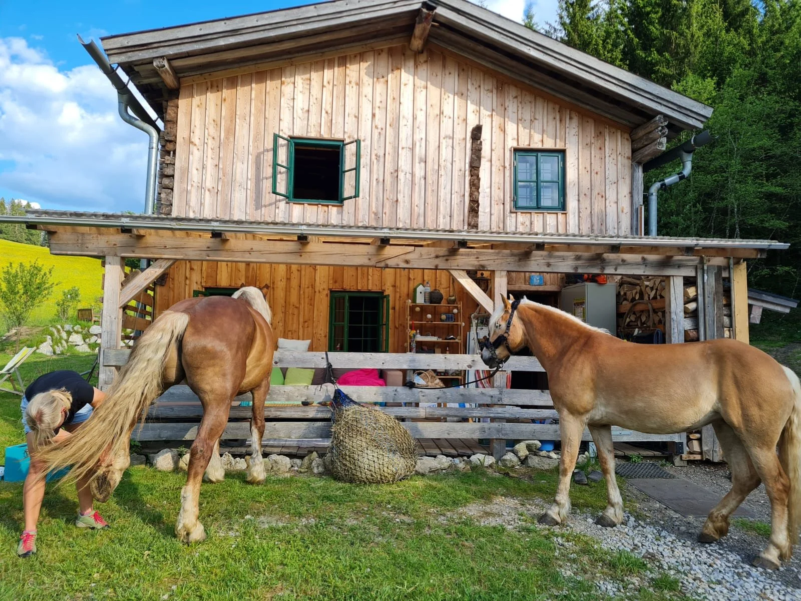 Ein Holzhaus mit Pferden im Vordergrund, eines wird von einem Kind gestriegelt. Es gibt eine grüne Wiese, Bäume im Hintergrund und einen blauen Himmel mit Wolken.