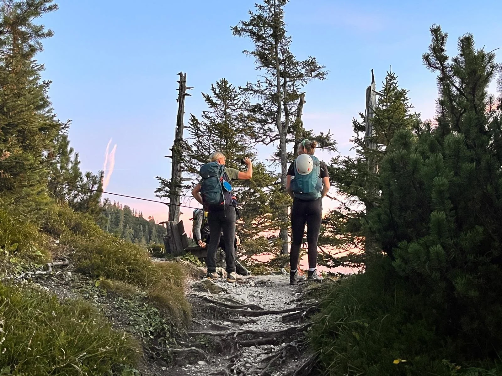 Zwei Frauen und ein Kind wandern auf einem Waldweg bei Sonnenuntergang, umgeben von Nadelbäumen, tragen Rucksäcke und Outdoor-Kleidung.