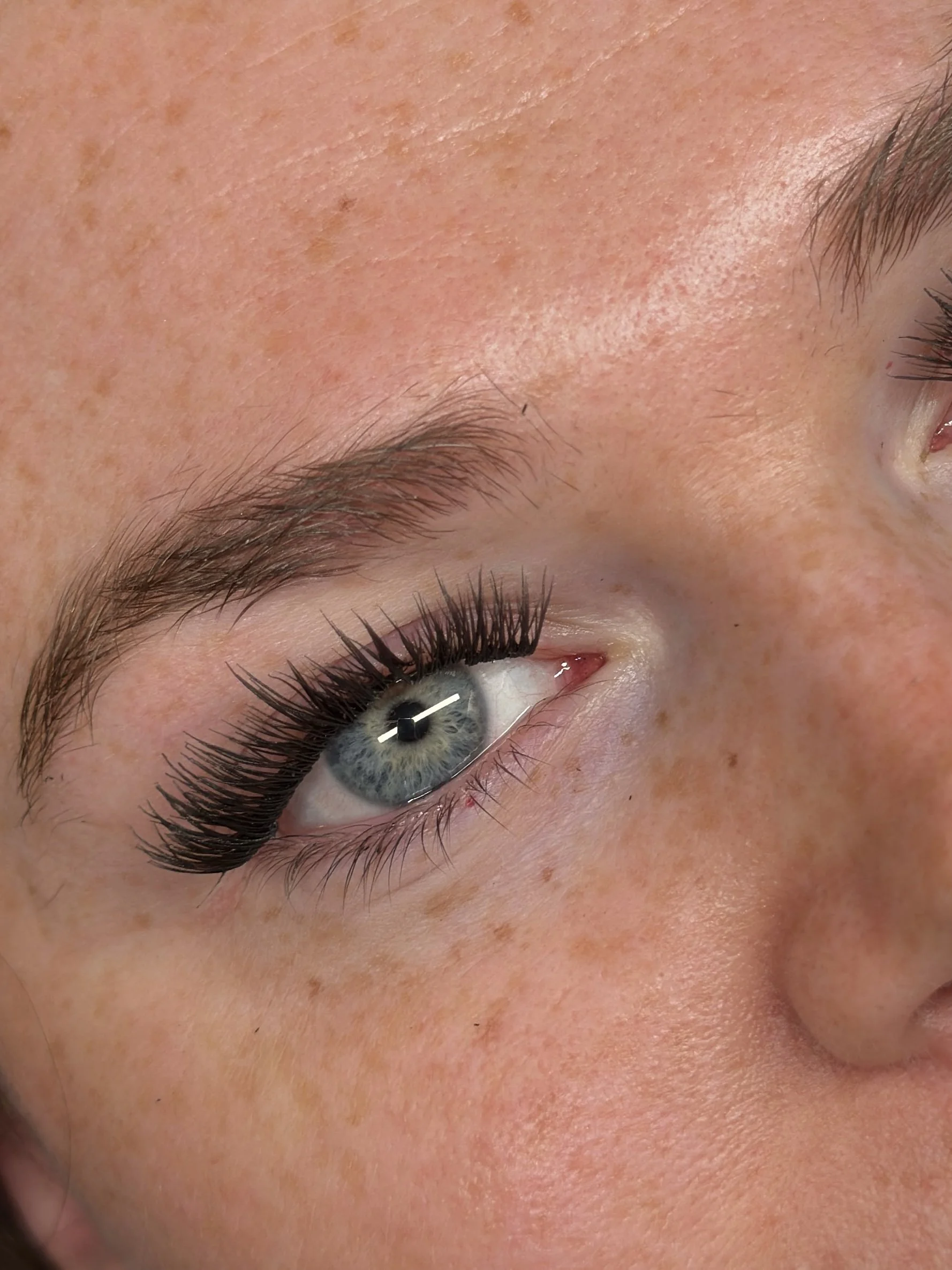 Close-up of a blue eye with long eyelashes, light freckles, and well-groomed eyebrows.