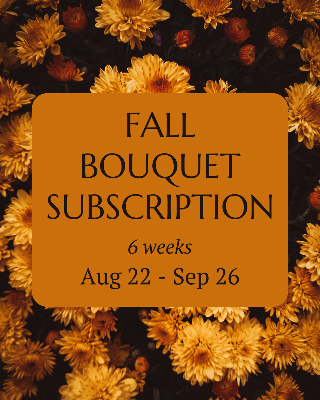 Fall Subscription Pick Up