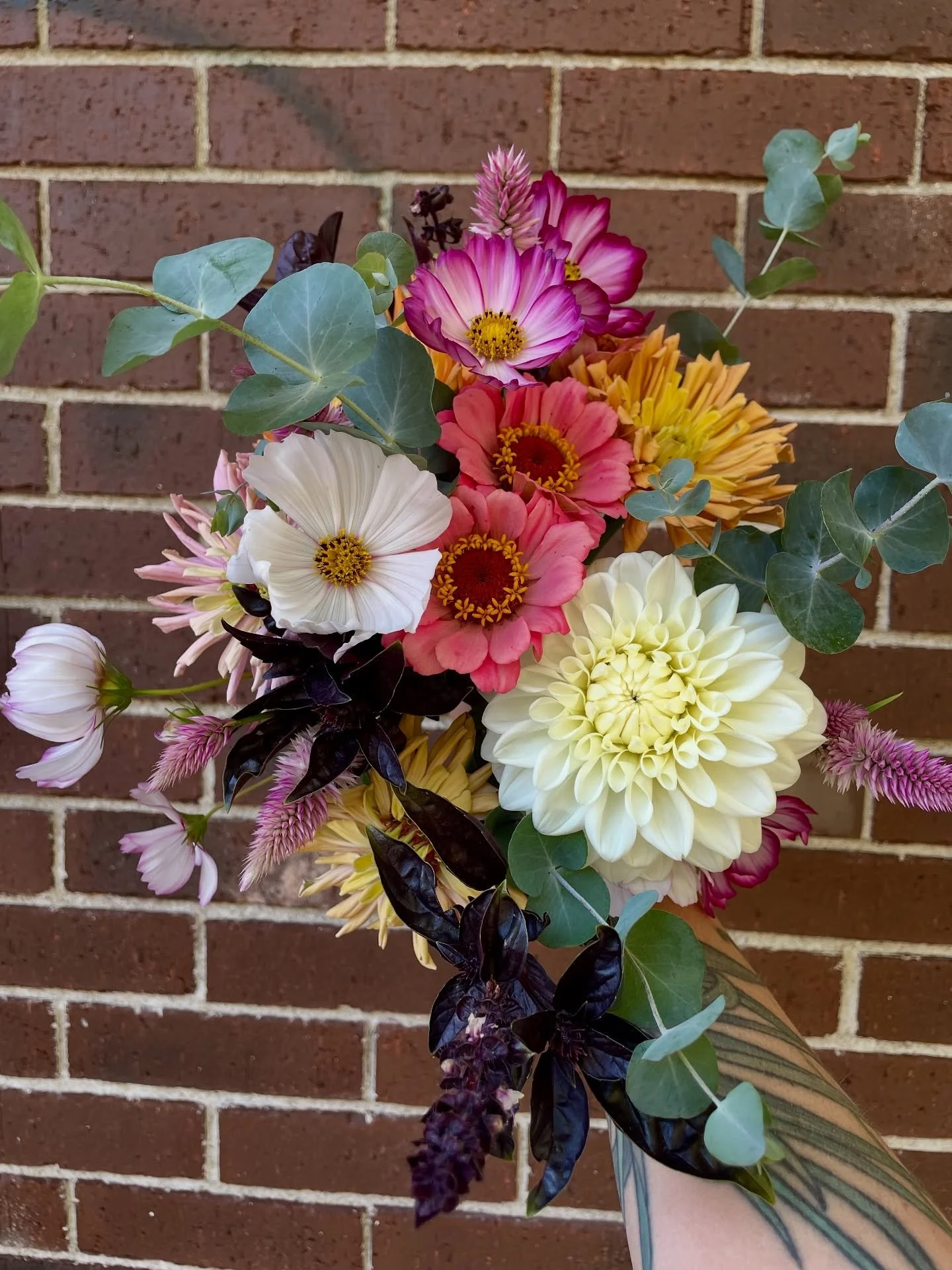 Happy Friday 🌞 

#freshflowerbouquet #flowerfarm #dahlia #bloomingtonindiana #visitbtown #hoosiers