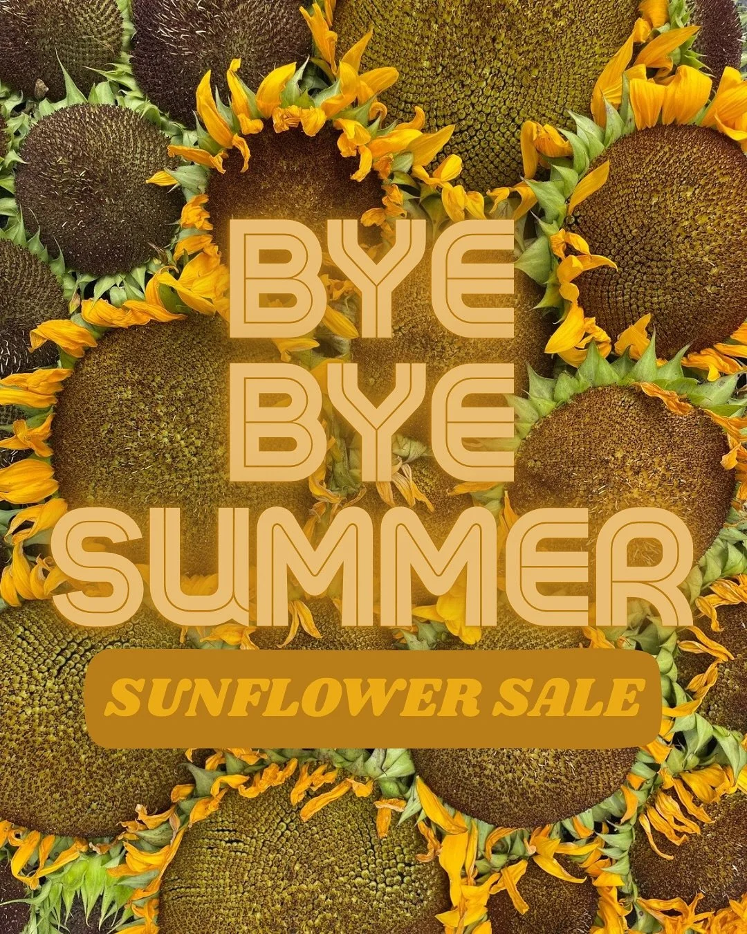Last chance! Order sunflowers before they&rsquo;re gone for pickup/delivery driver- link in bio!

#sunflowers #freshflowers #flowerfarm #bloomingtonindiana #hoosiers