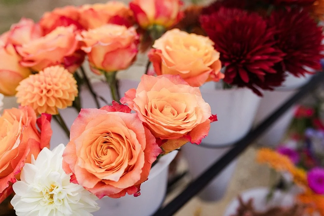 Three weeks ago we got to spend the evening at PALS&rsquo; Halloween with the Horses community event and fundraiser! We loved seeing all the excited children in costumes and sweet horses. 

Thank you to Garrett Ann Walters Photography for these photo