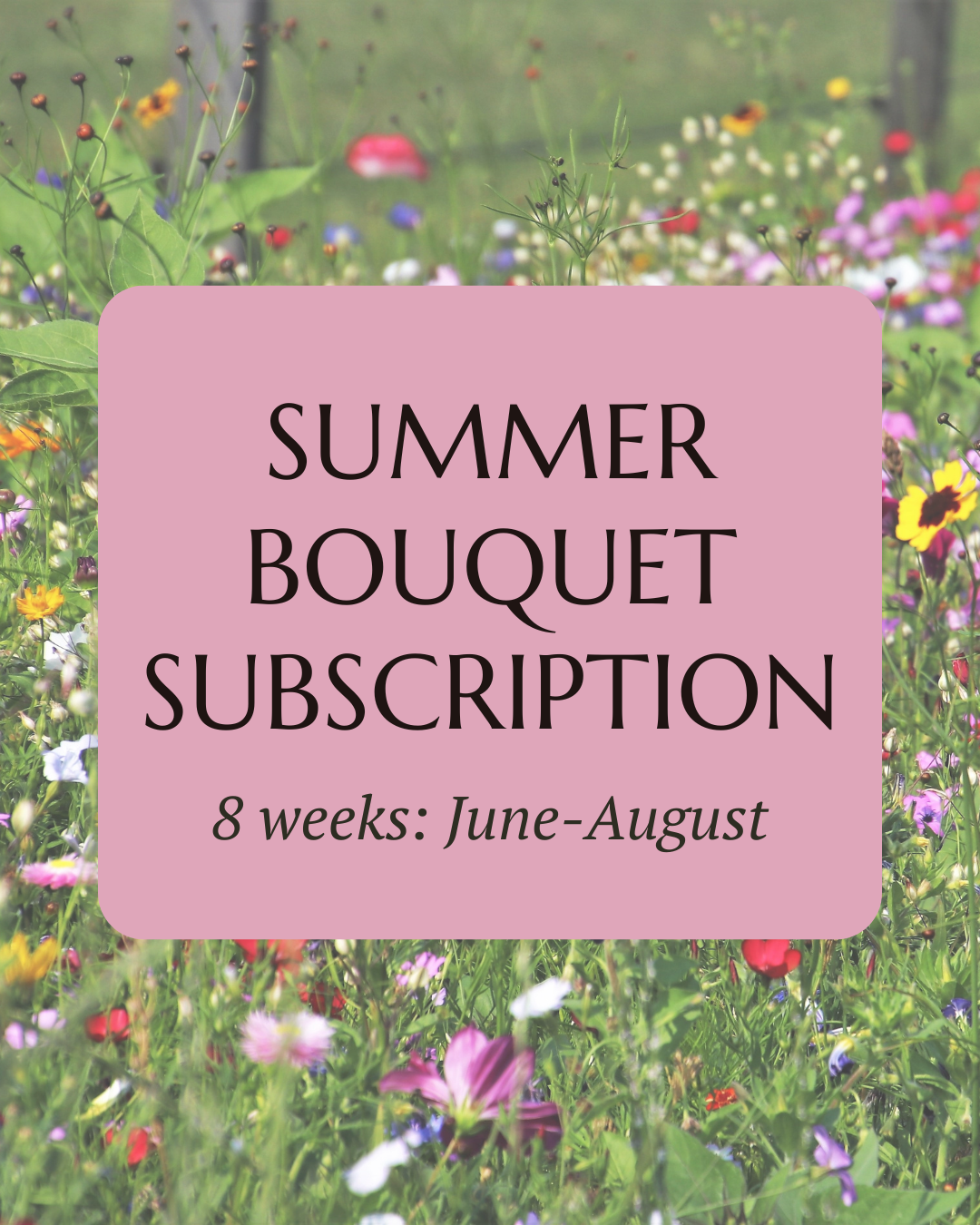 Summer Subscription