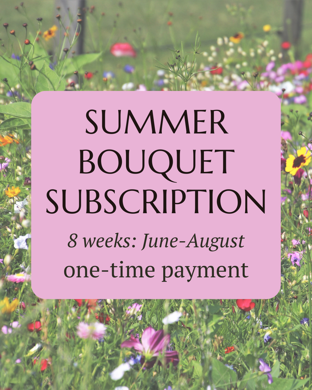 Summer Subscription: One-Time Payment