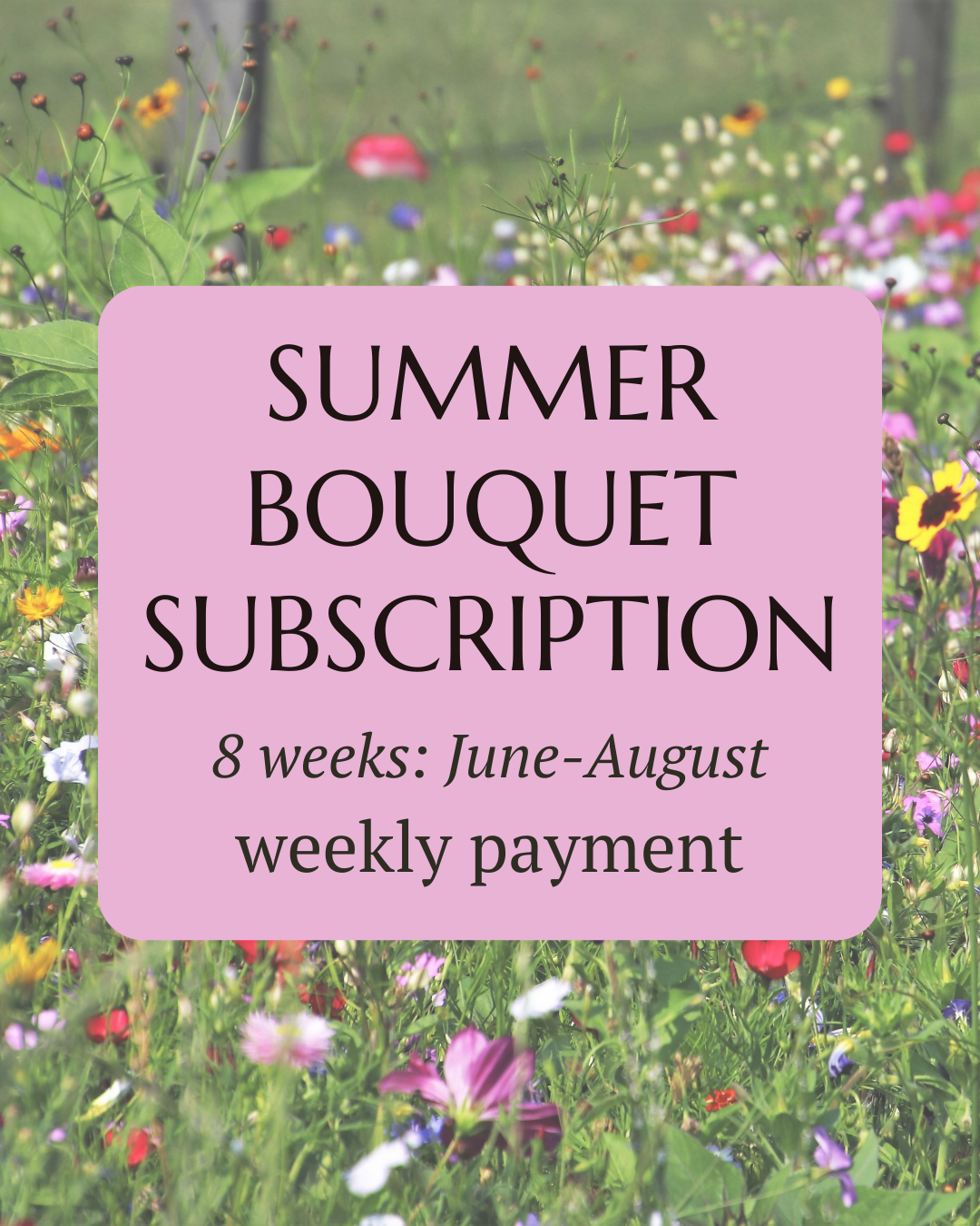 Summer Subscription: Weekly Payment