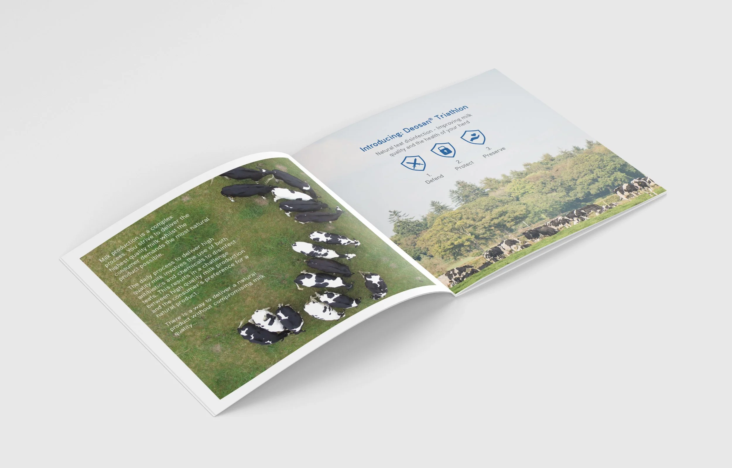Deosan-Tri_Book-Spread-LS-2.jpg