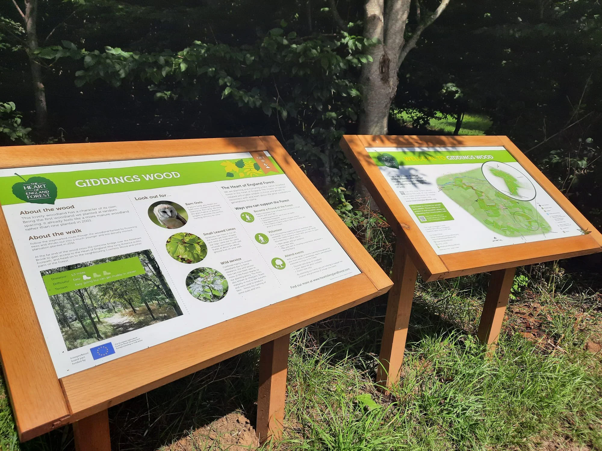 HofEF Gidding-2025.jpg