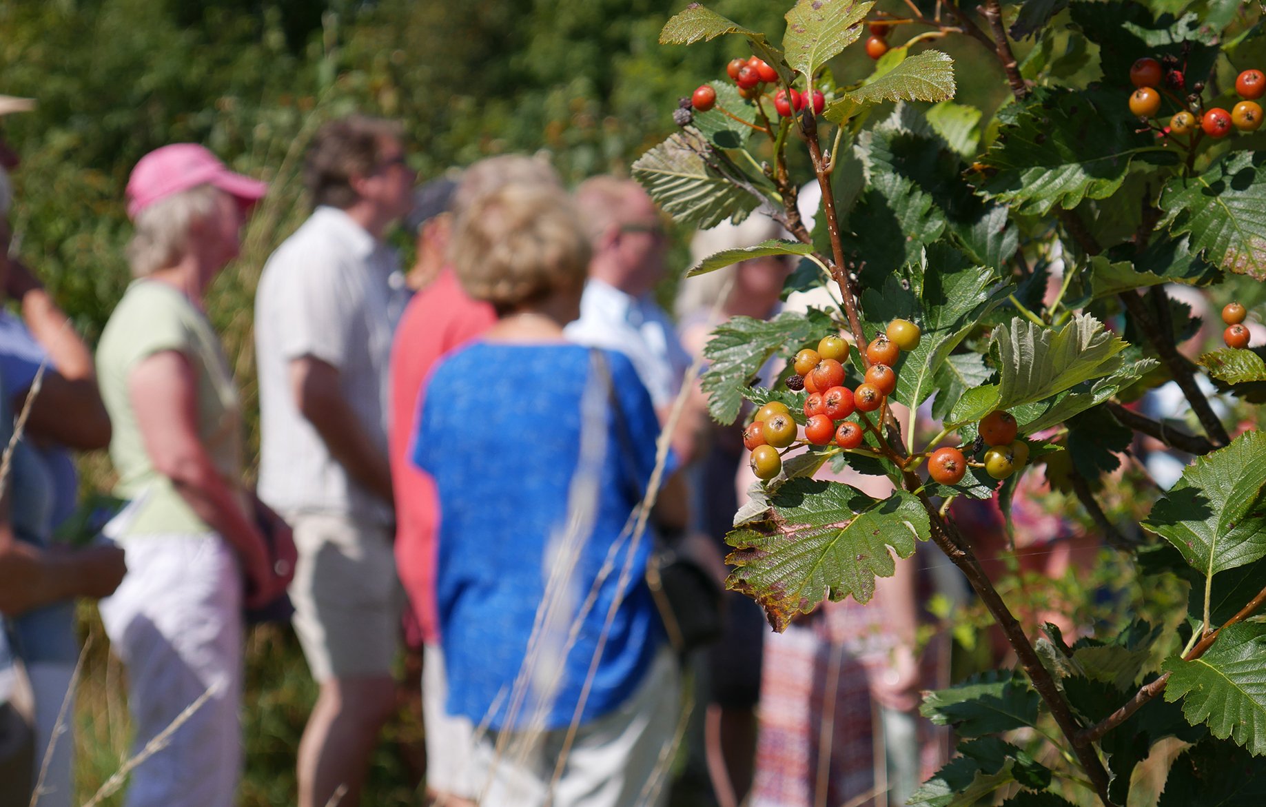 HofE-Group Berry pic.jpg