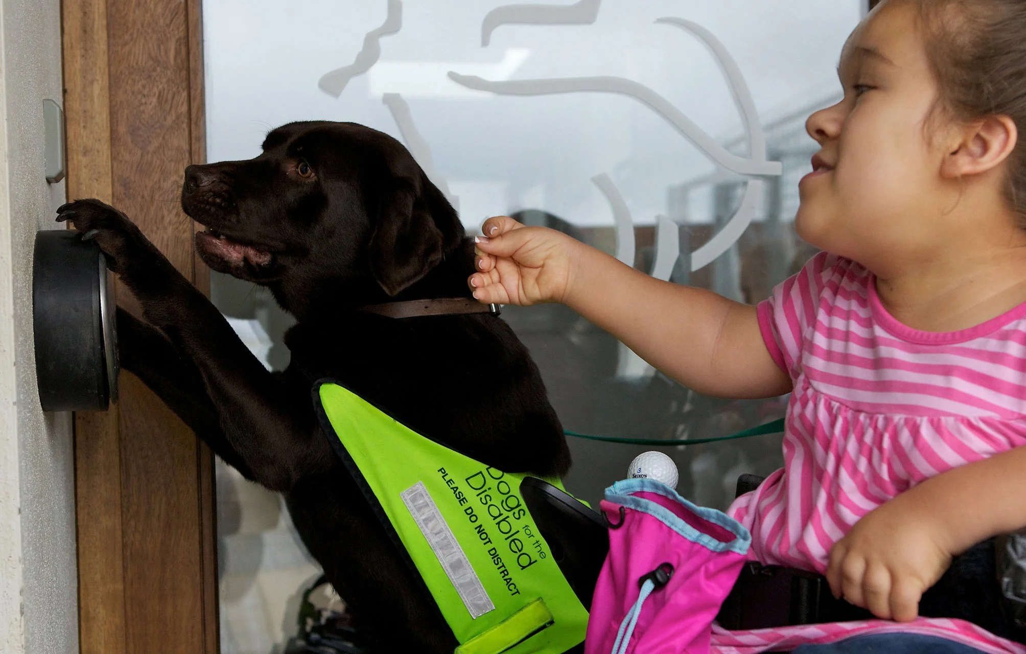 DfG-Header 1600x1020.jpg