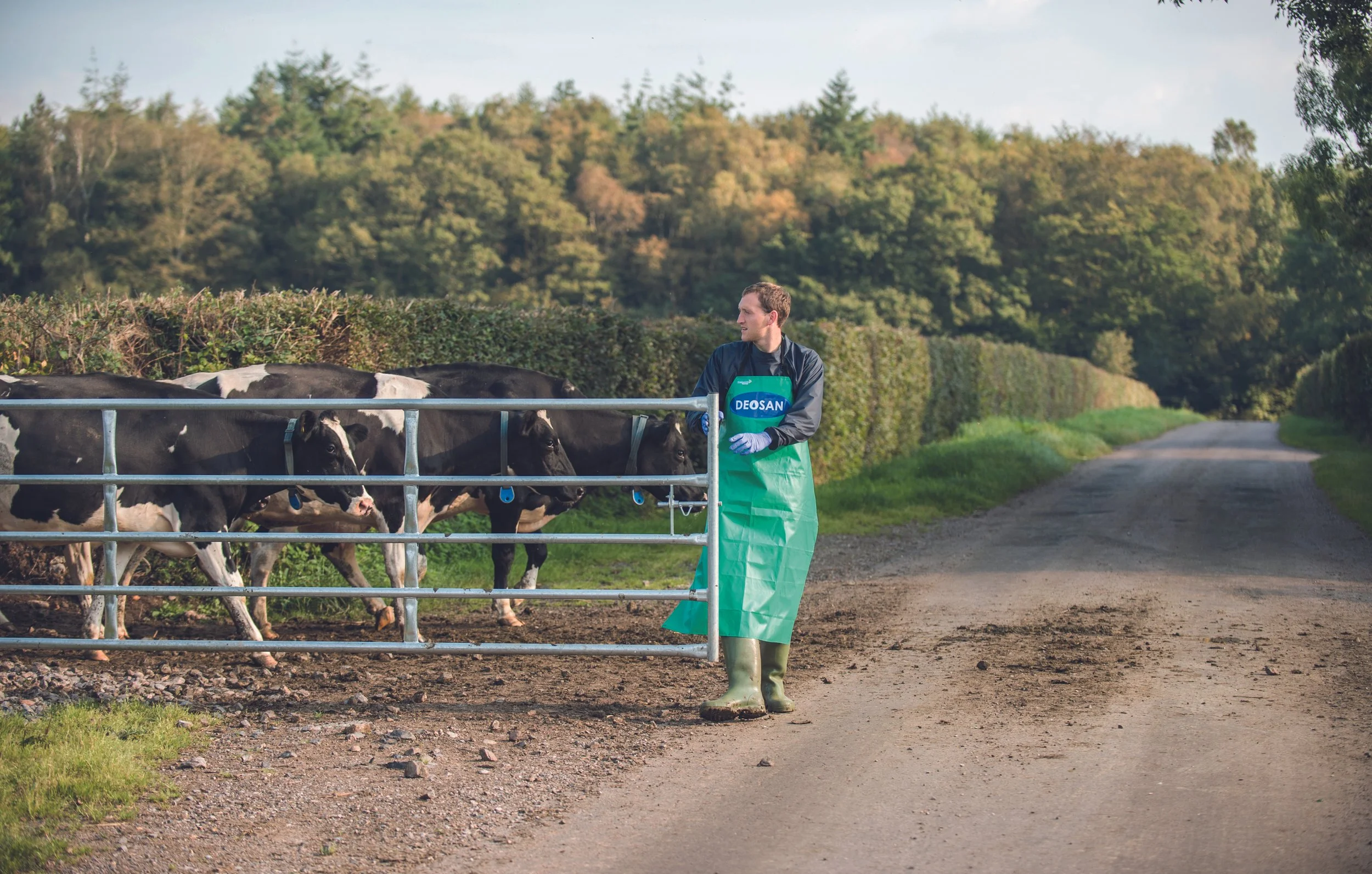 Deosan-Header 1600x1020.jpg