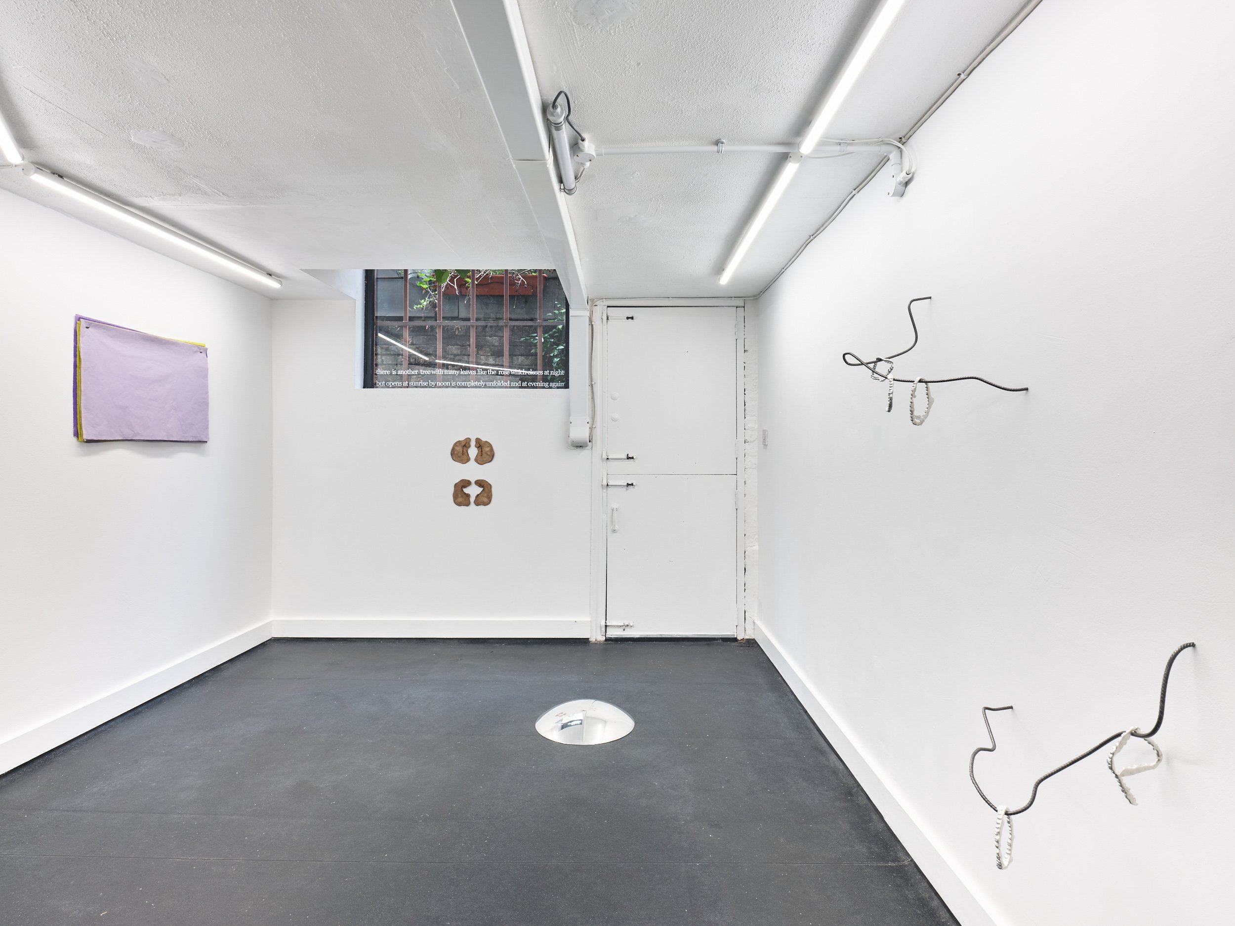 Installation view, Kate Fahey and Timo Kube