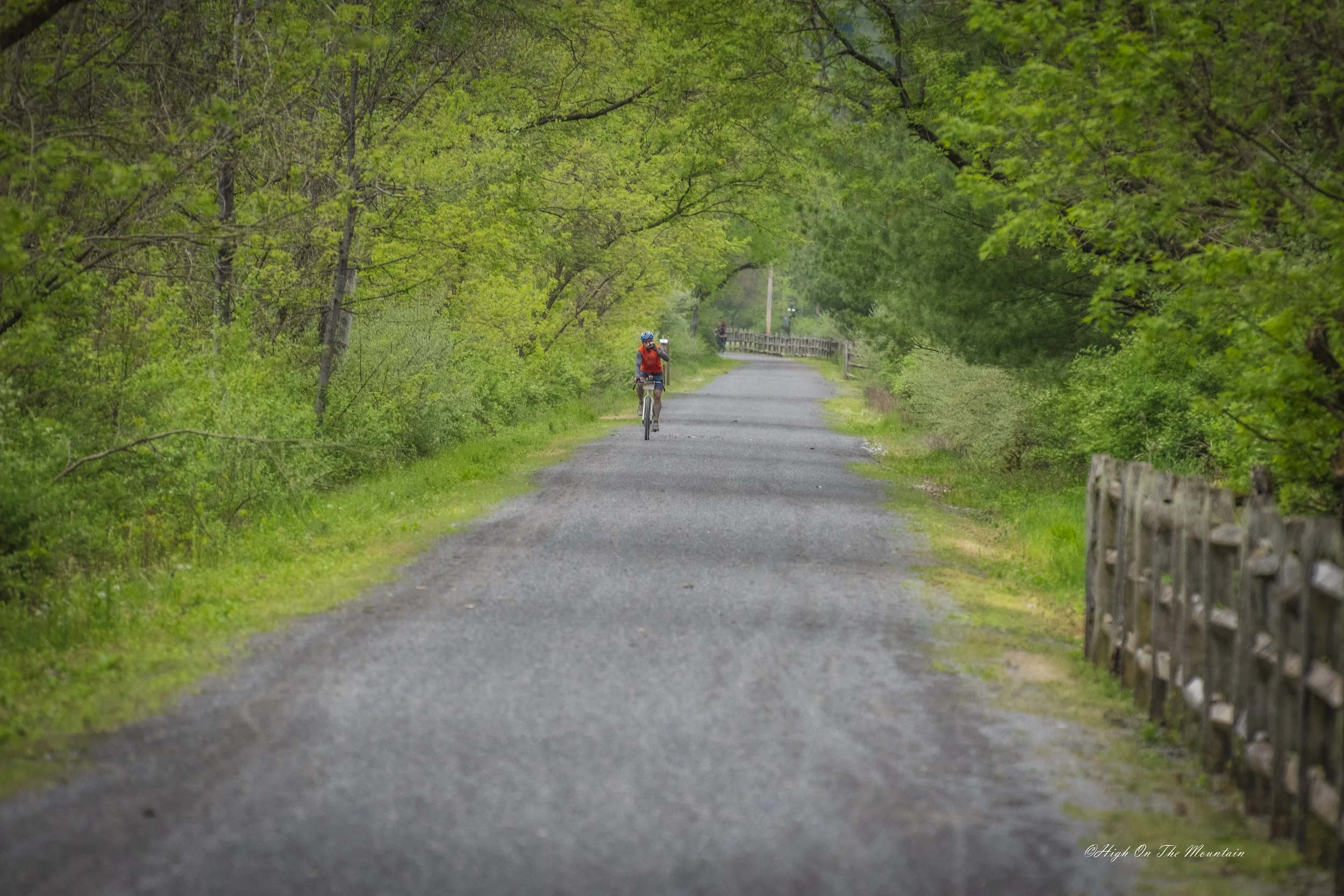 A person riding a bicycle on a dirt path through lush green trees and foliage.