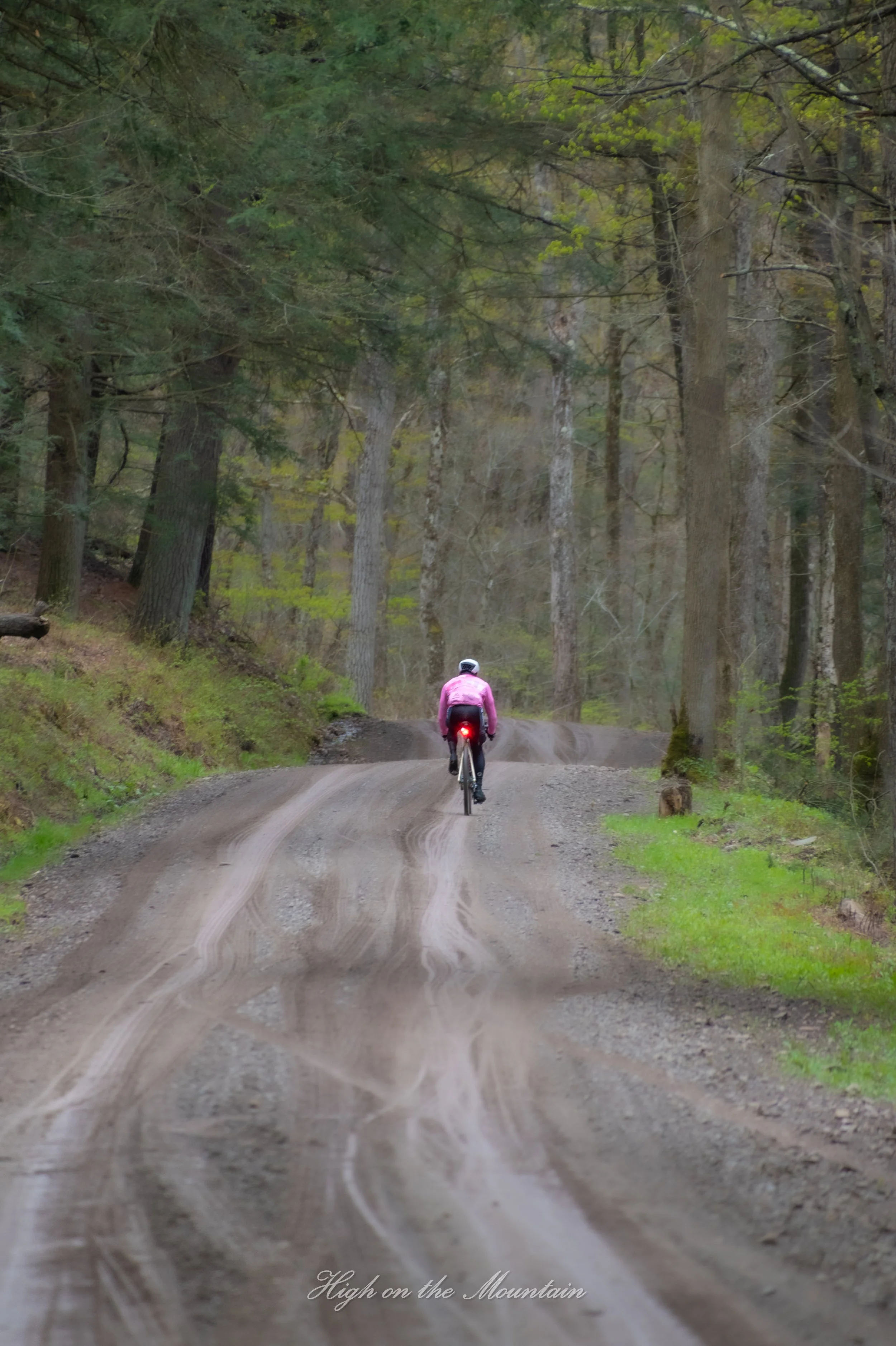 A person wearing a pink jacket and helmet riding a mountain bike on a rugged, dirt forest trail surrounded by tall trees with green leaves.