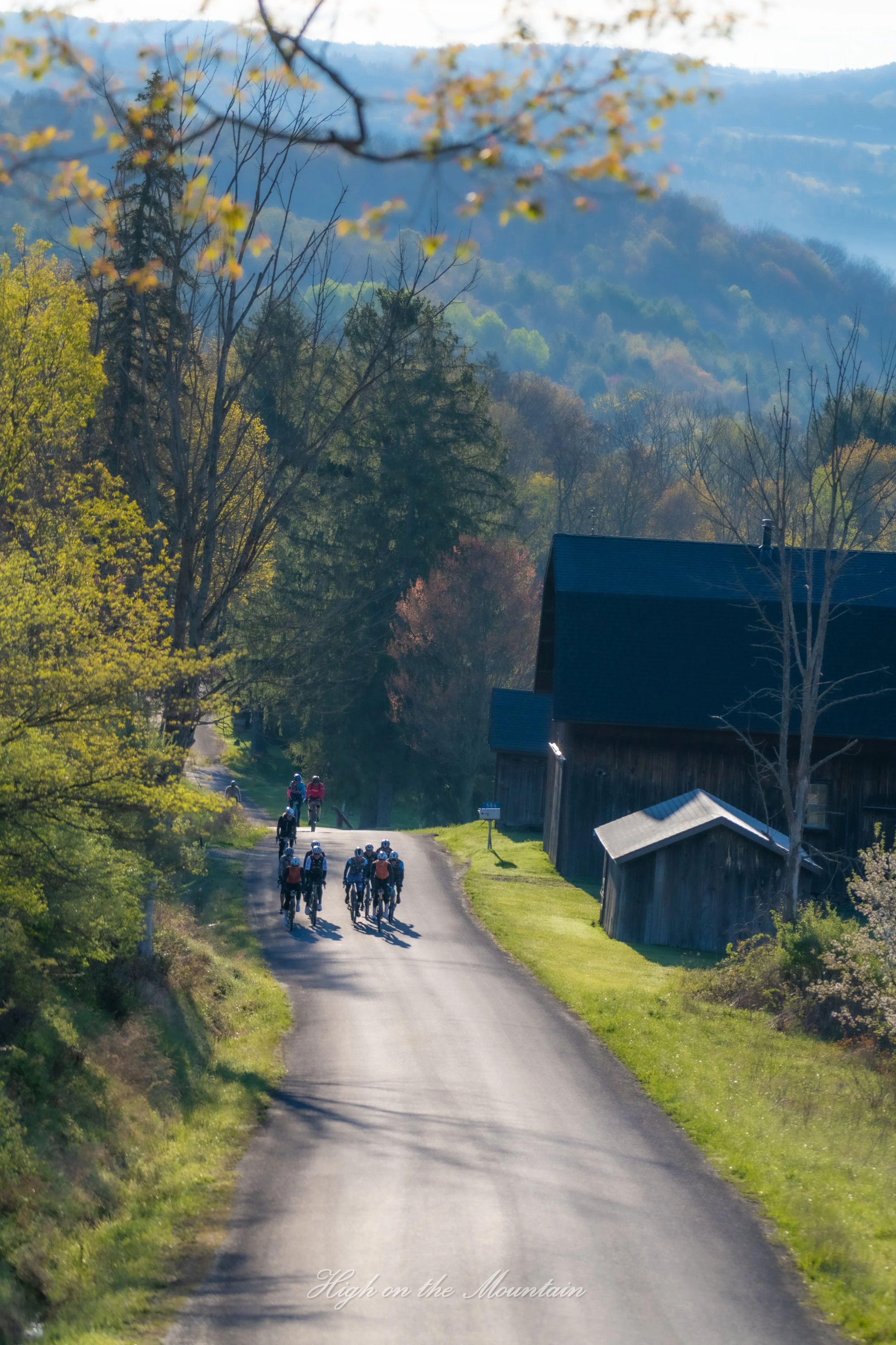 A group of cyclists riding on a narrow country road surrounded by lush green trees and rolling hills in the background during daytime.