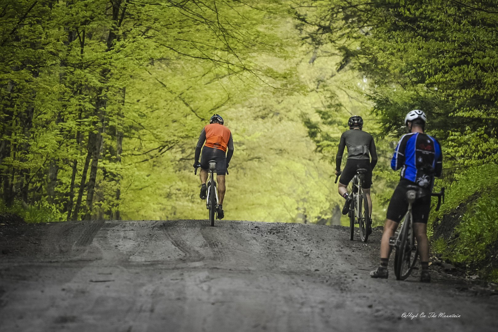 Three cyclists riding on a dirt trail through a lush green forest.