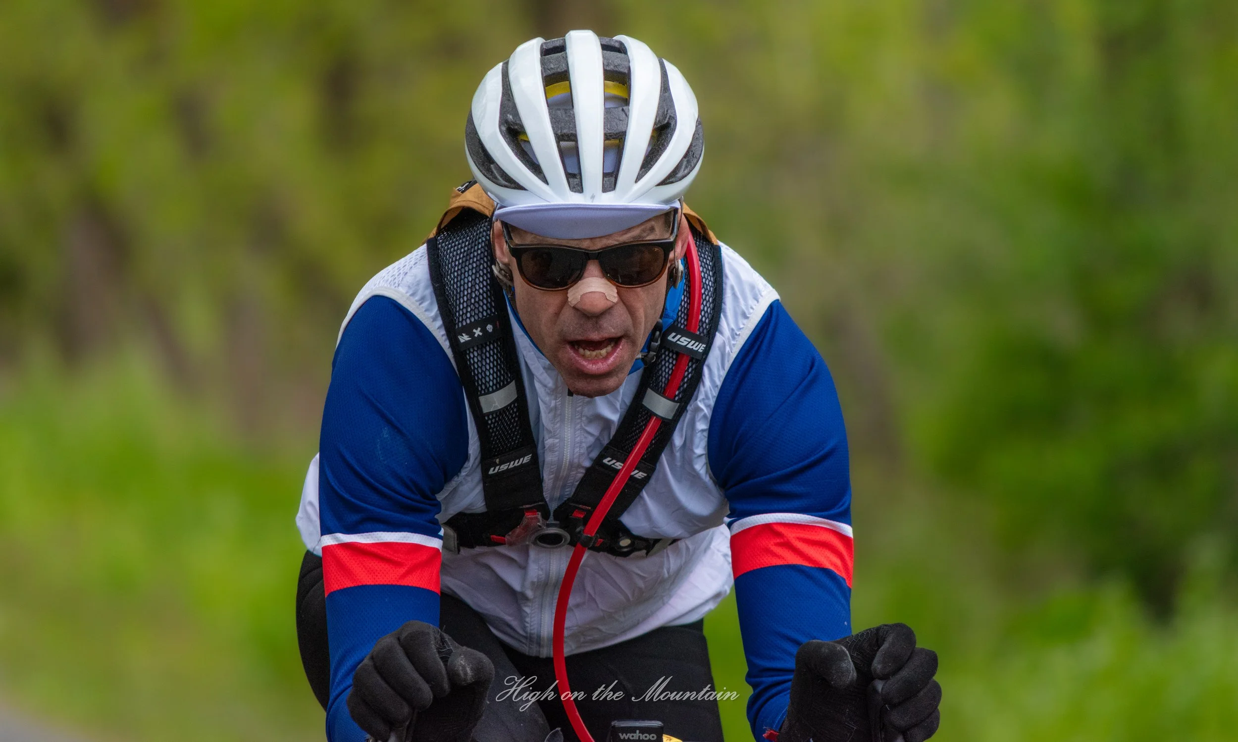 A man wearing a white helmet, sunglasses, a blue, white, and red long-sleeve cycling jersey, and gloves, riding a bicycle outdoors with a blurred green background.