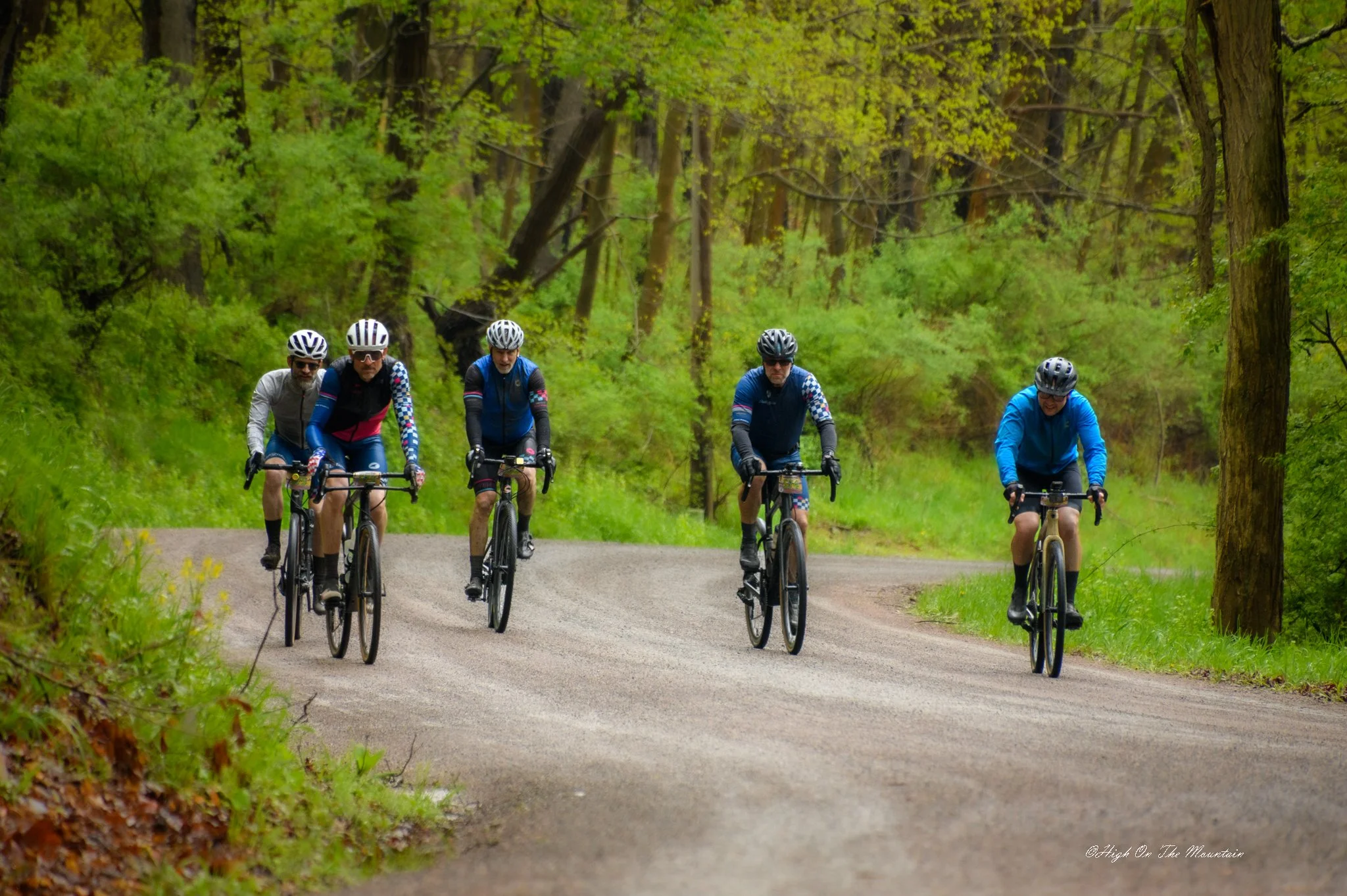 Five cyclists riding on a trail through a lush green forest.