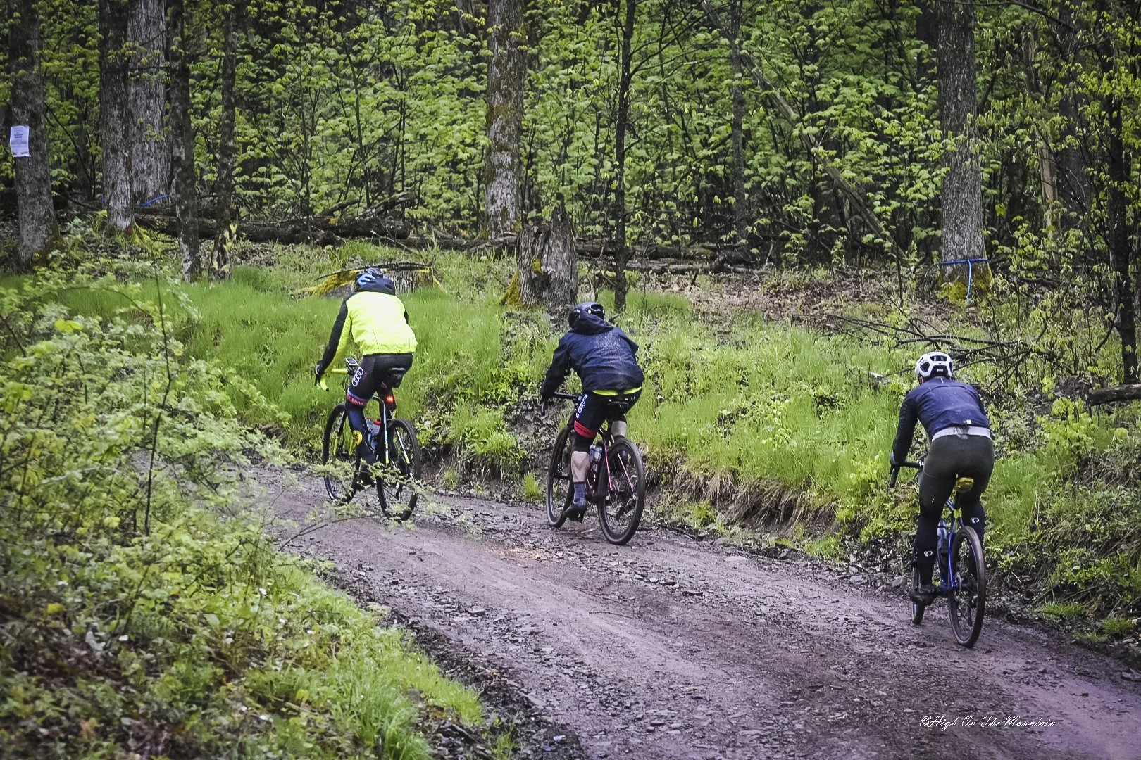 Three cyclists riding mountain bikes on a dirt trail through a forest with green foliage and trees.