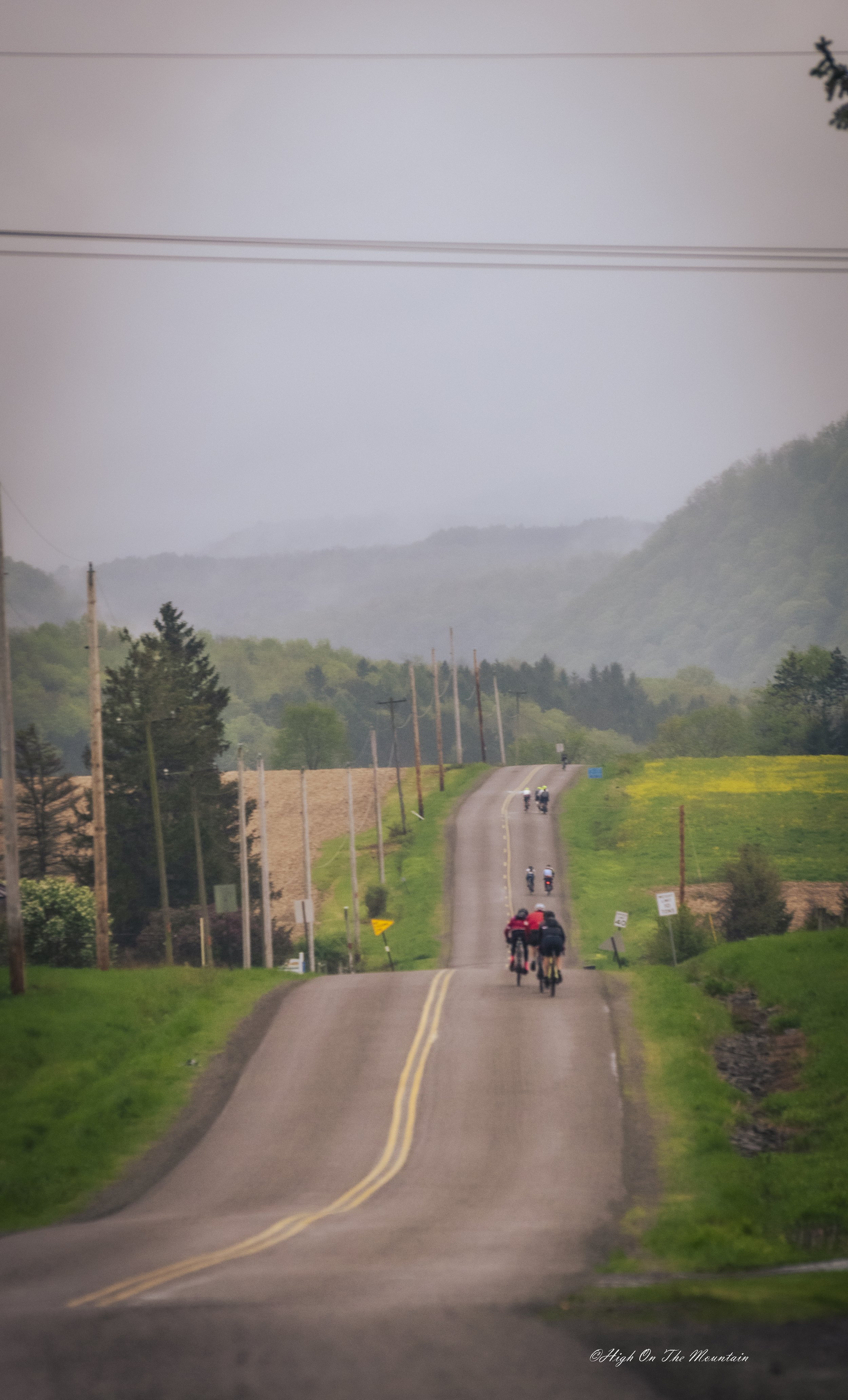 A rural scene with a winding two-lane road leading into the distance, surrounded by green fields and trees, with mountains in the background. Several cyclists are riding along the road during an overcast day.