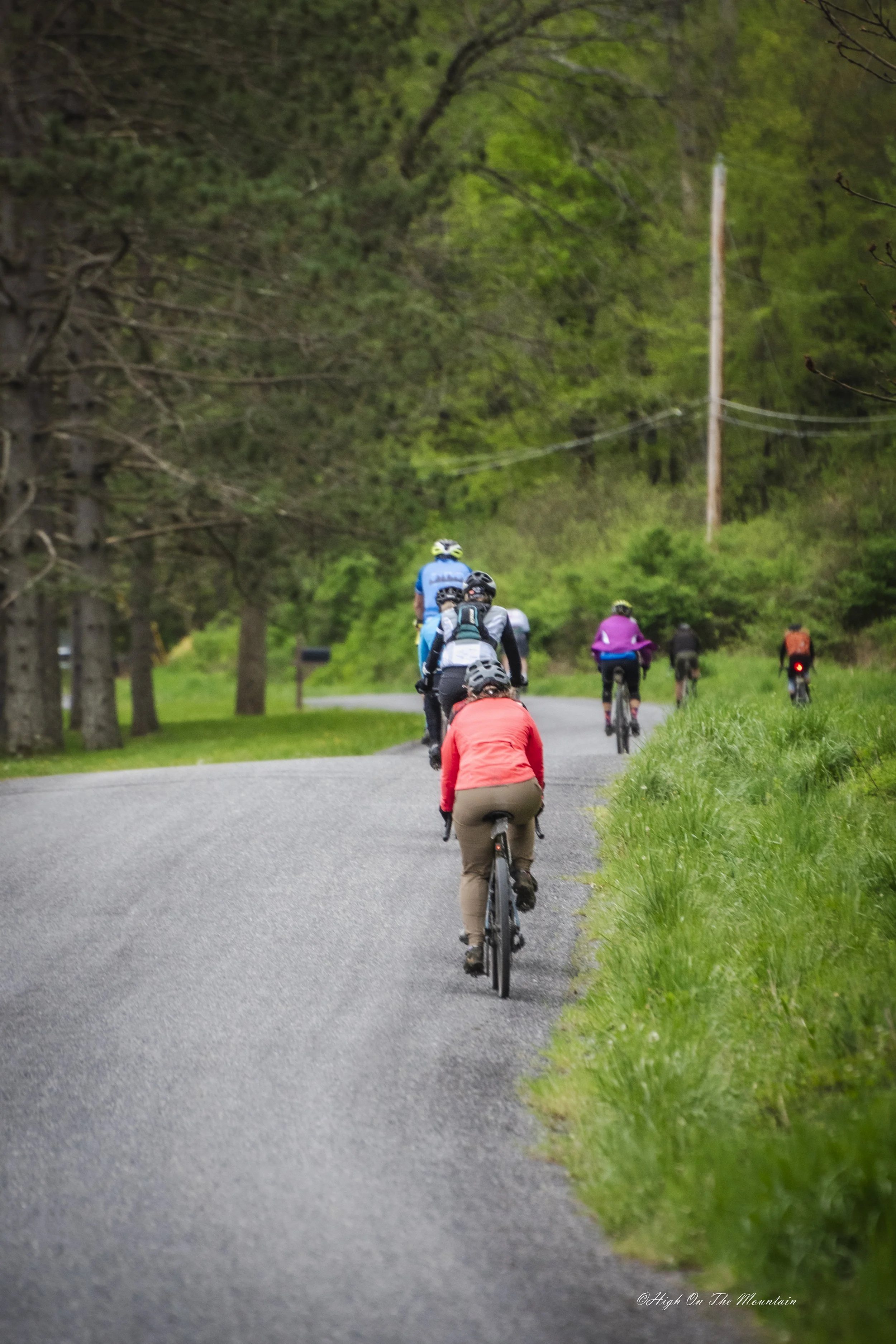 Group of people riding bicycles on a paved country road surrounded by green grass and trees, under a cloudy sky.