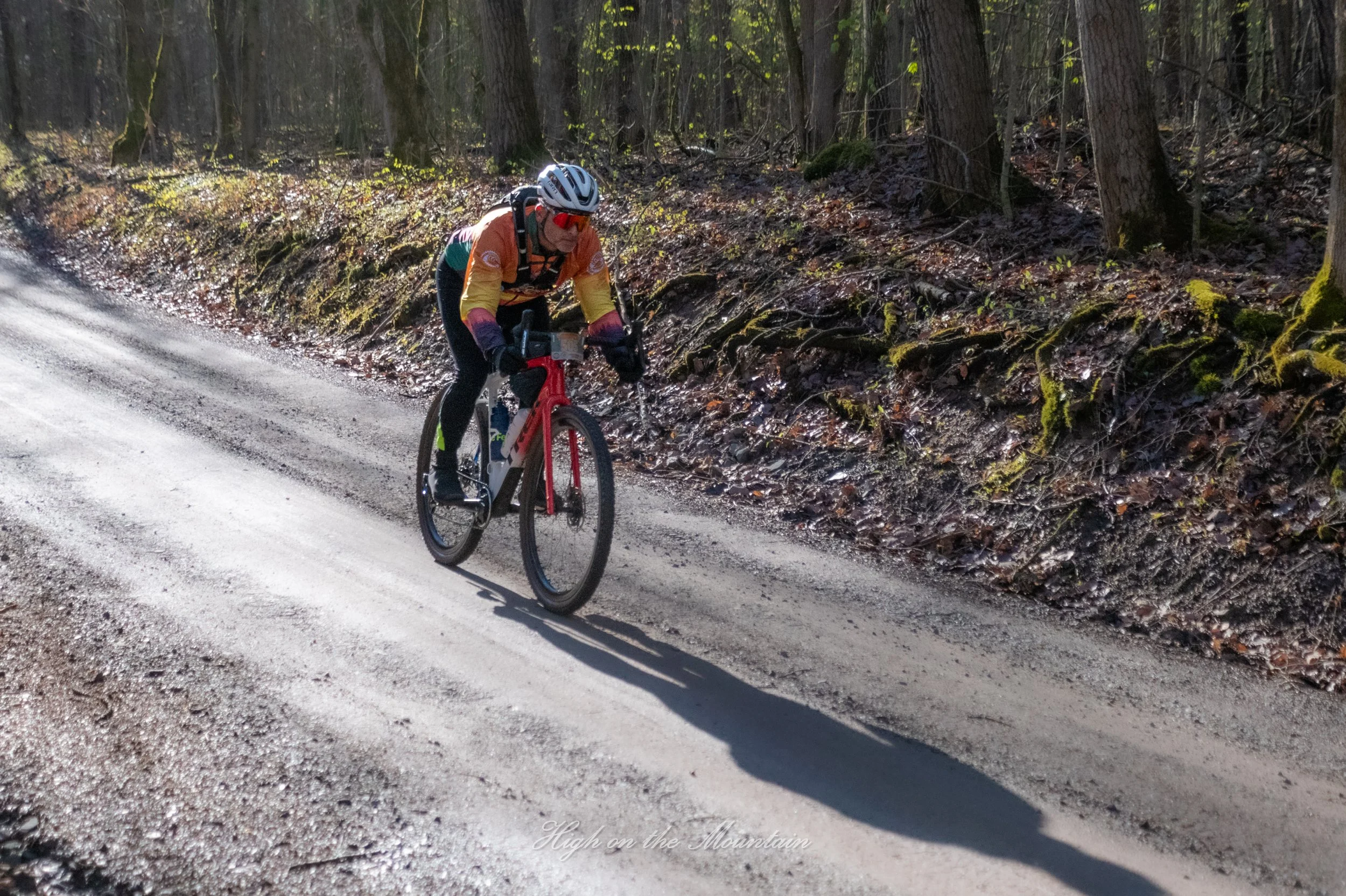A cyclist wearing an orange and yellow jacket, a helmet, and sunglasses riding a mountain bike on a dirt trail surrounded by trees with moss on the ground.