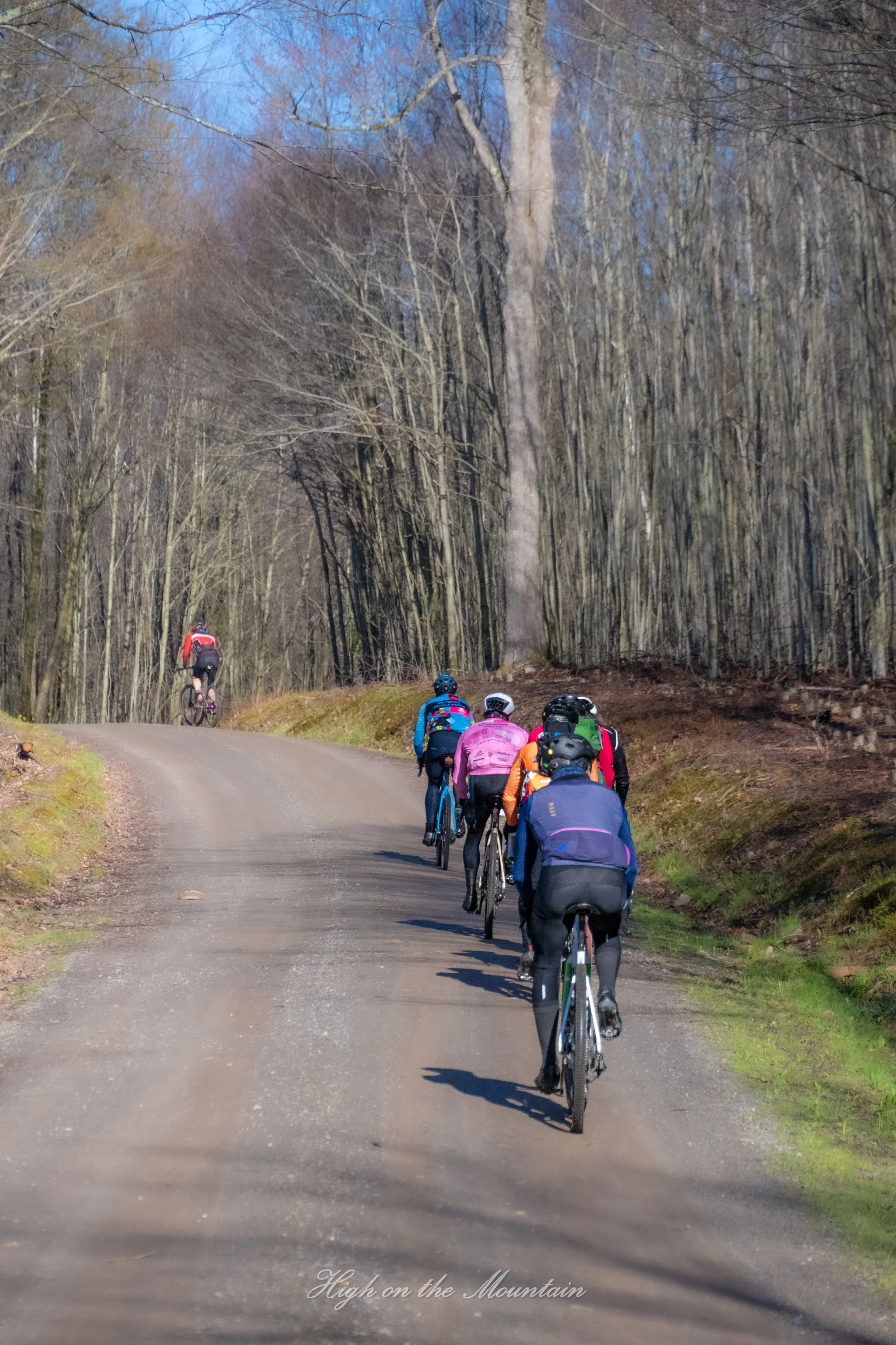 A group of cyclists riding on a winding mountain dirt road surrounded by leafless trees during spring or early summer.