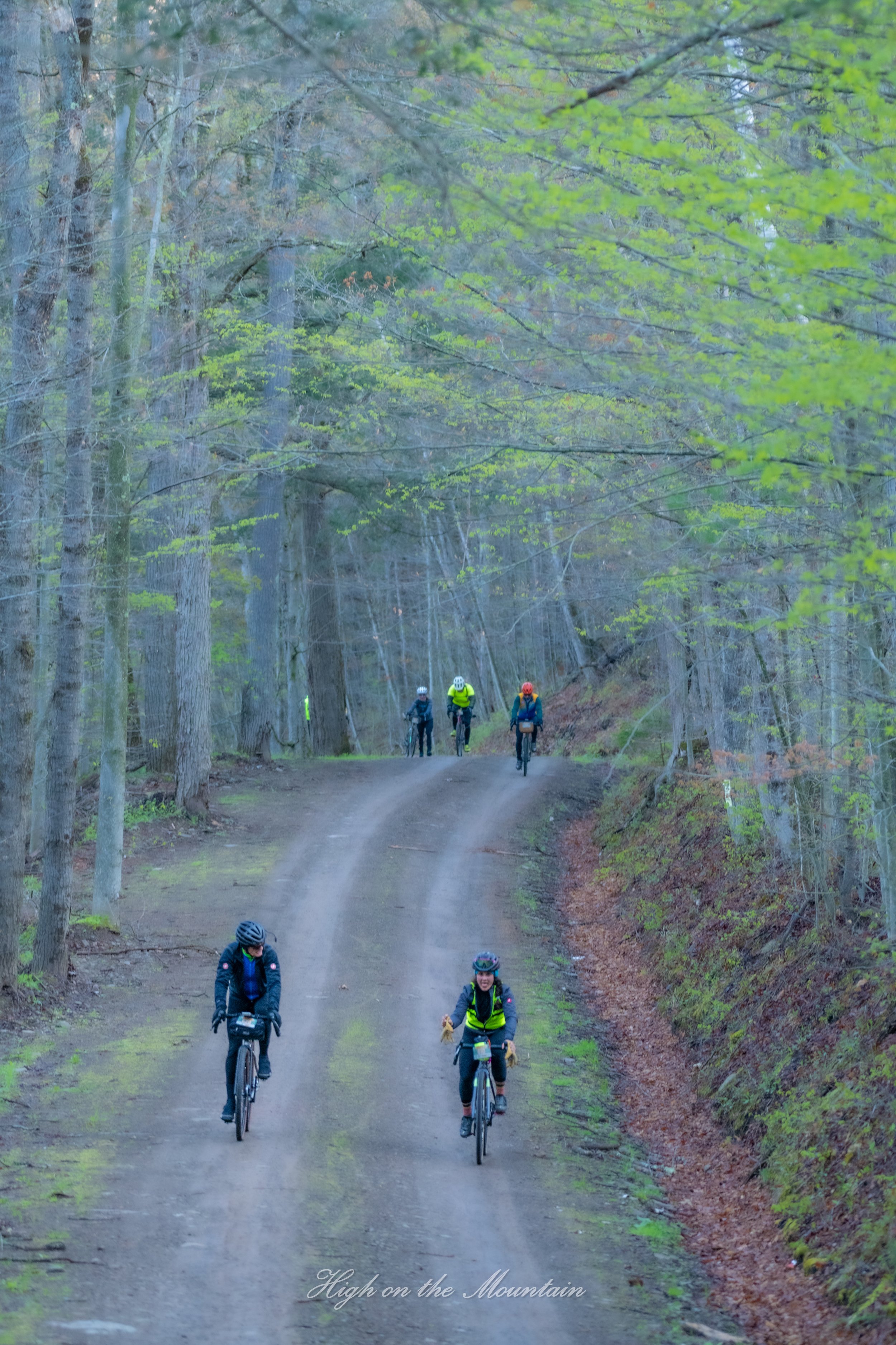 Four cyclists riding on a dirt trail through a dense wooded forest with green leaves, heading uphill, with the words "High on the Mountain" at the bottom.